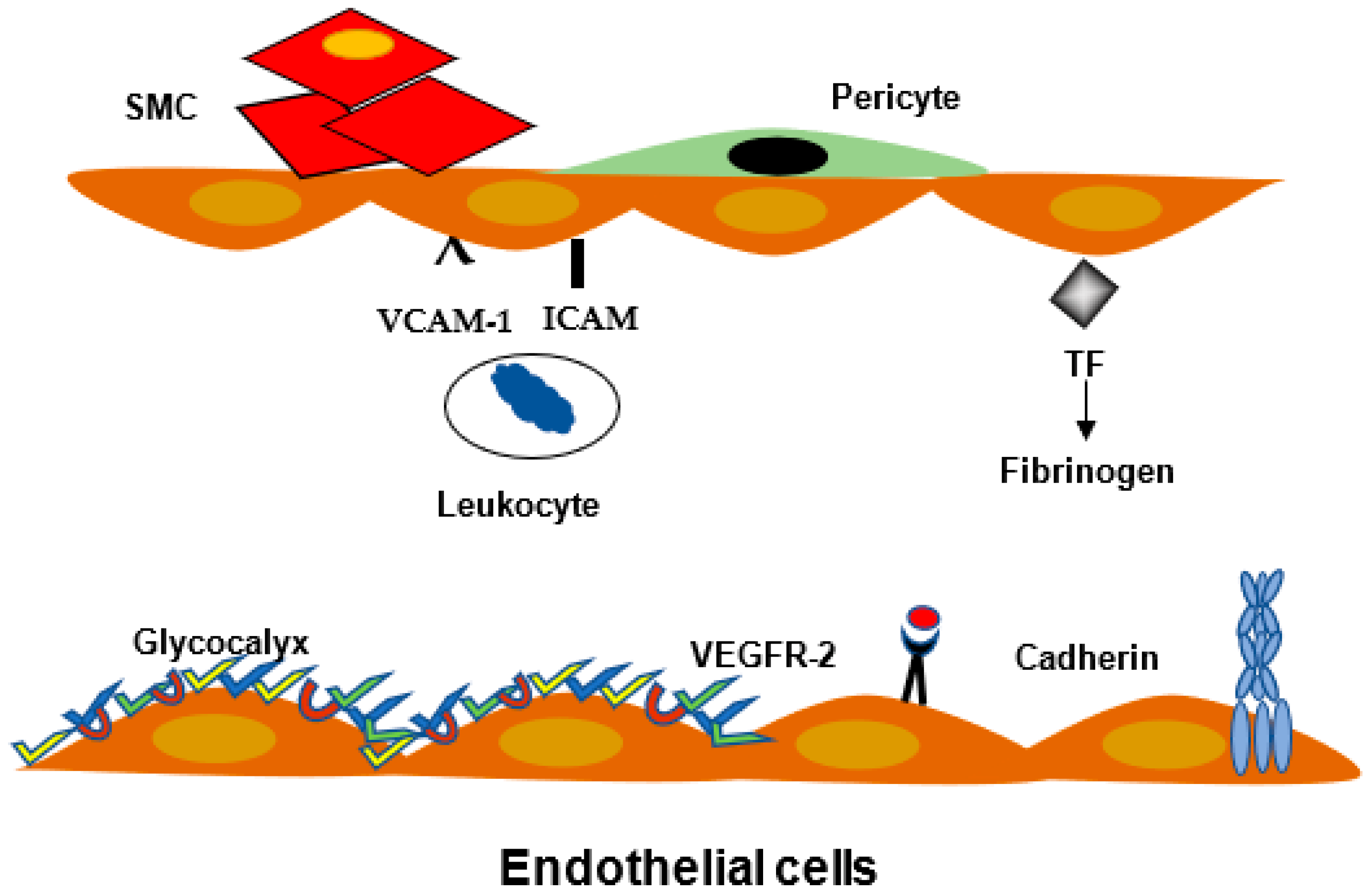 Ijms 23 03645 g002 Ijms 23 03645 g002