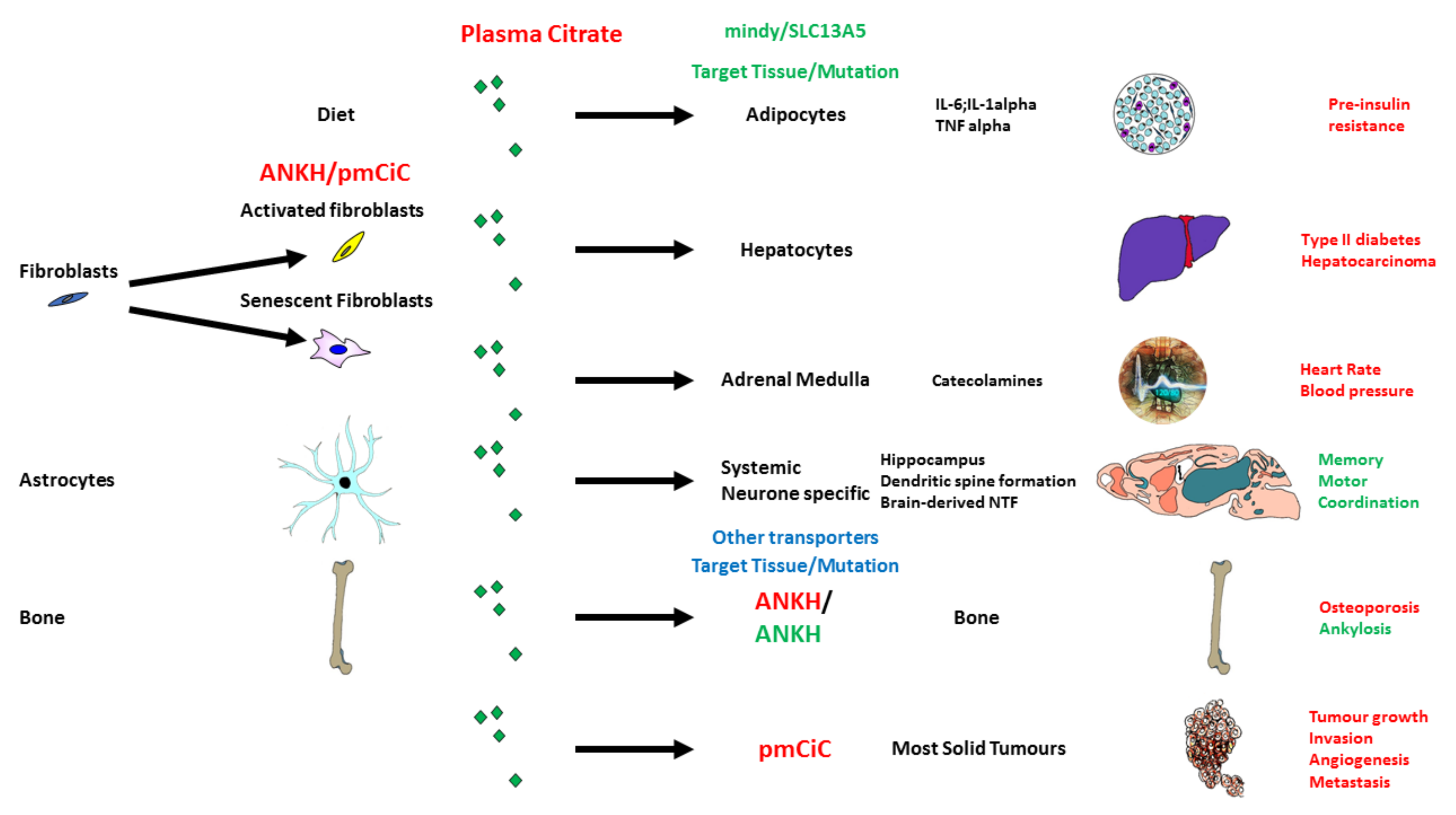 Ijms 23 03652 g001 550