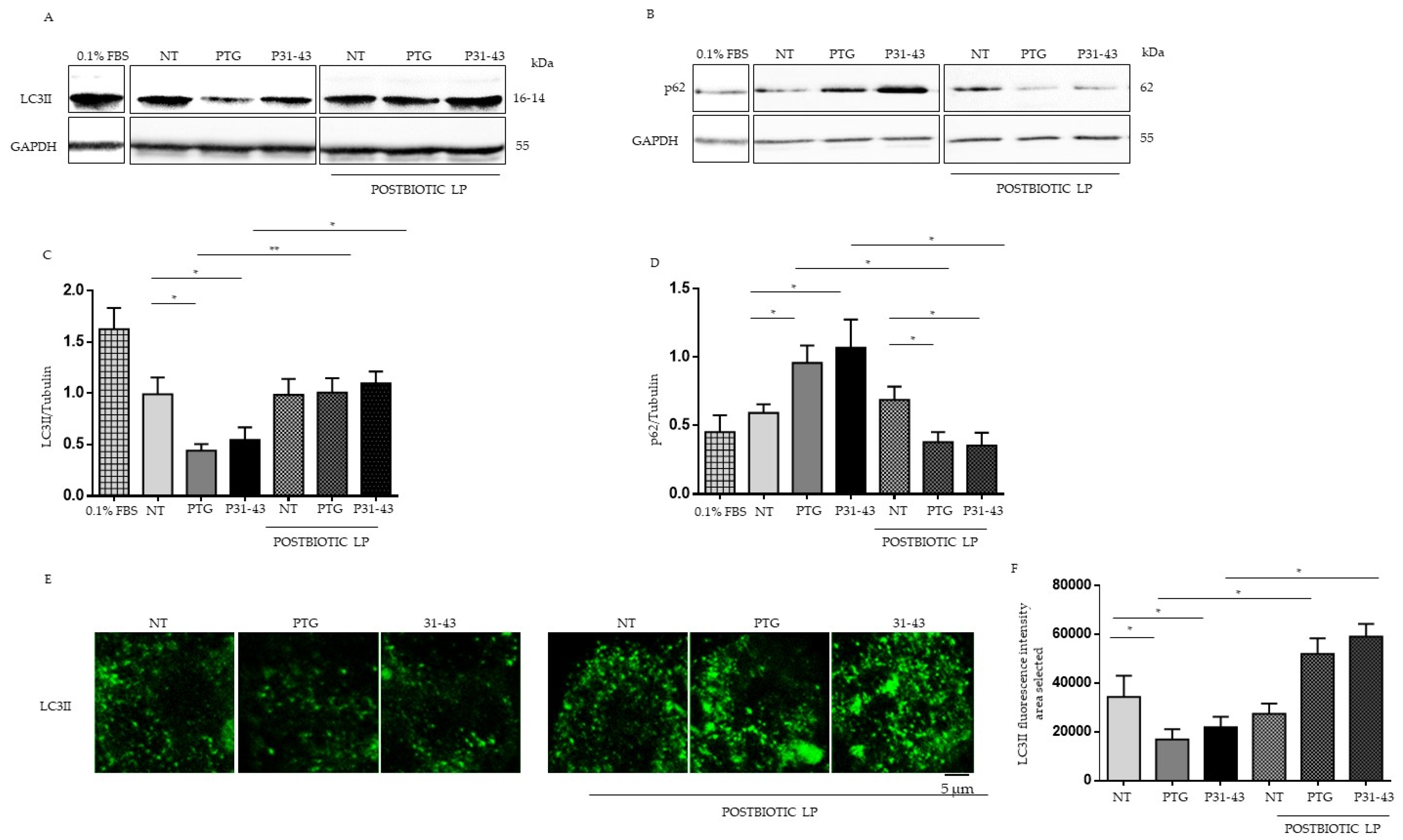 Ijms 23 03655 g002 550
