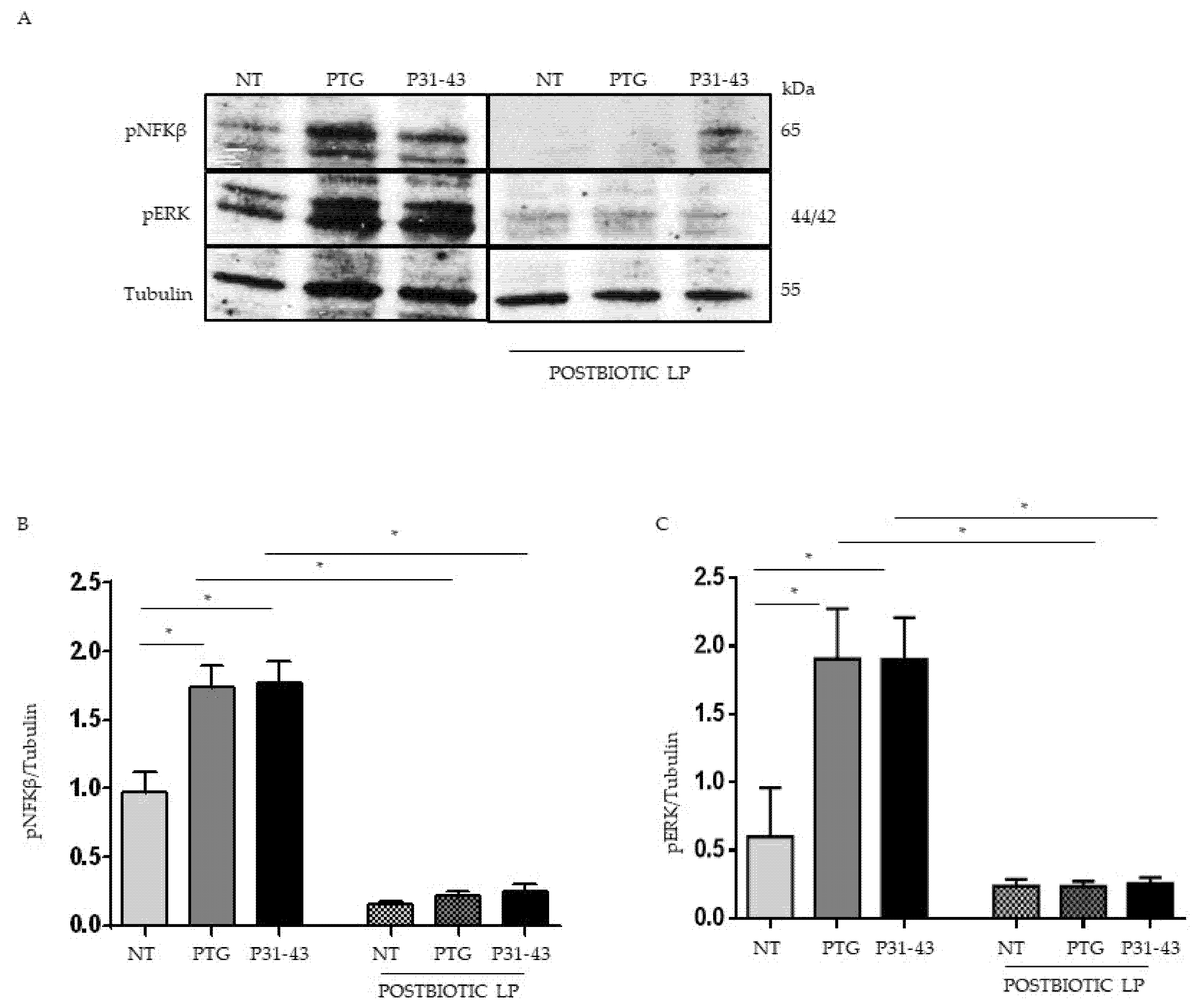 Ijms 23 03655 g003 550