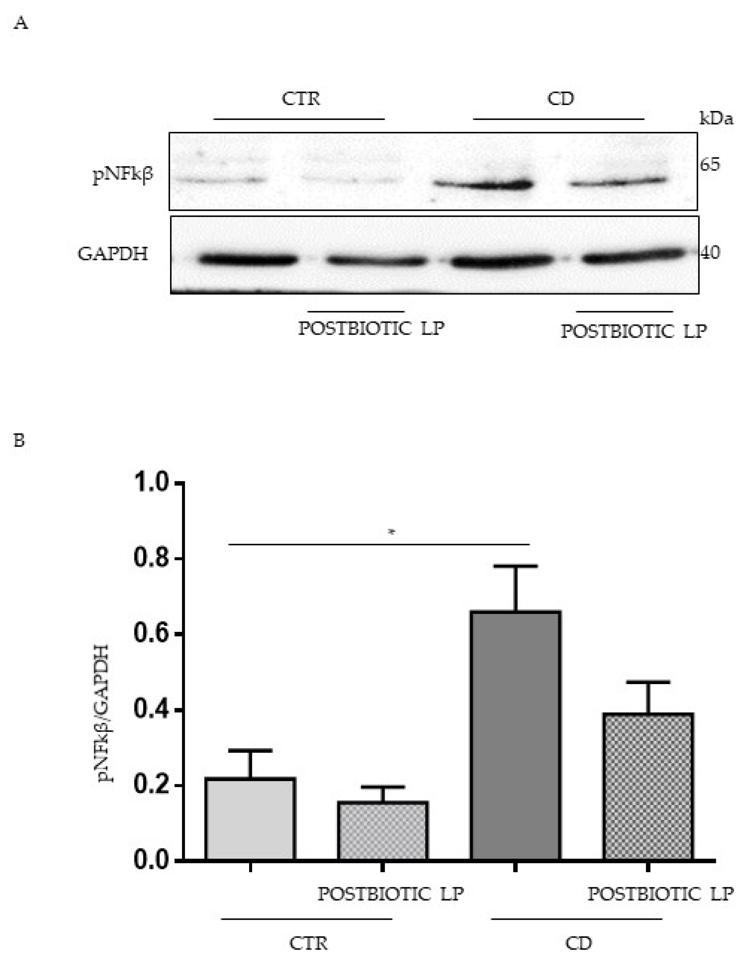 Ijms 23 03655 g004 550