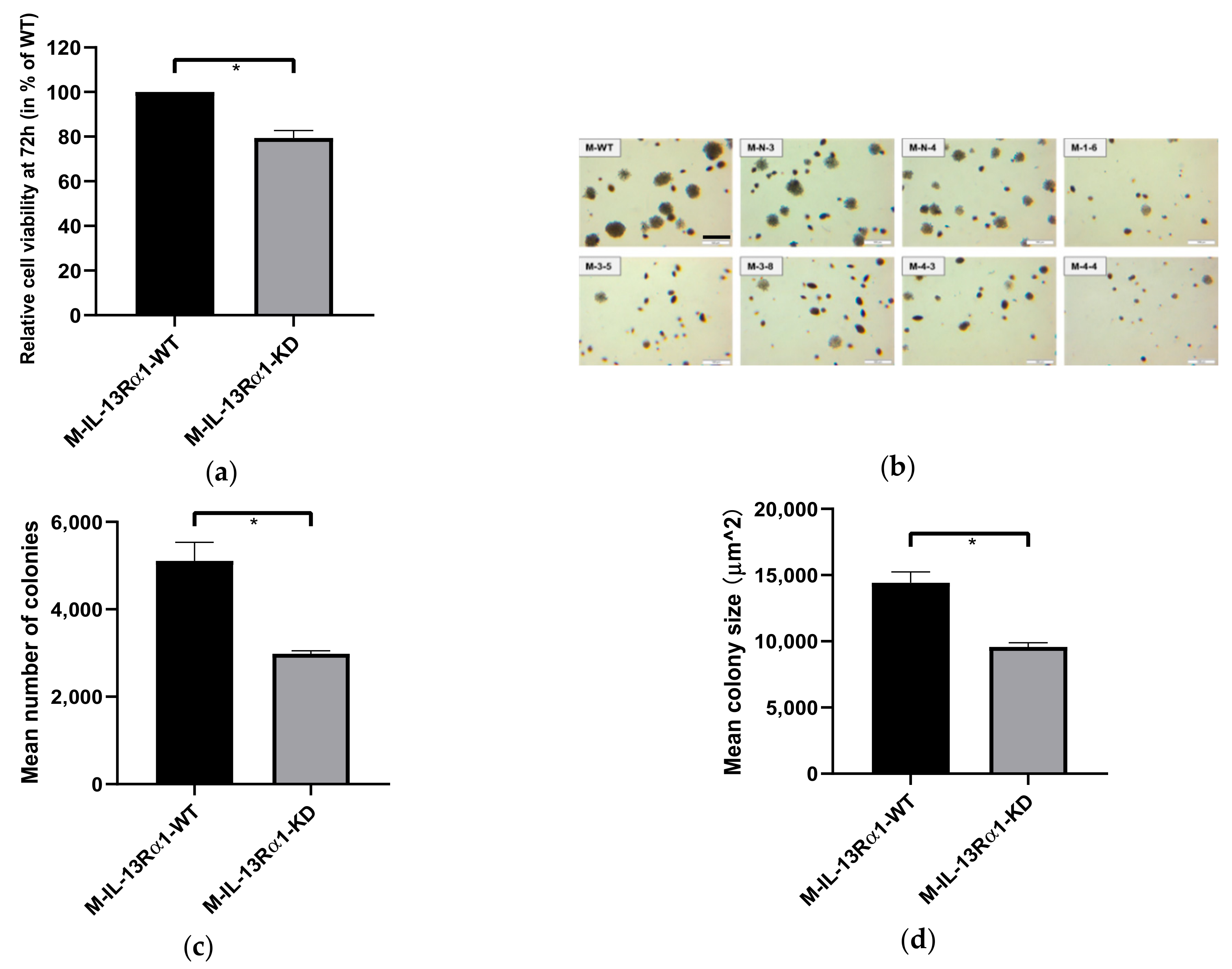 Ijms 23 03659 g003 Ijms 23 03659 g003