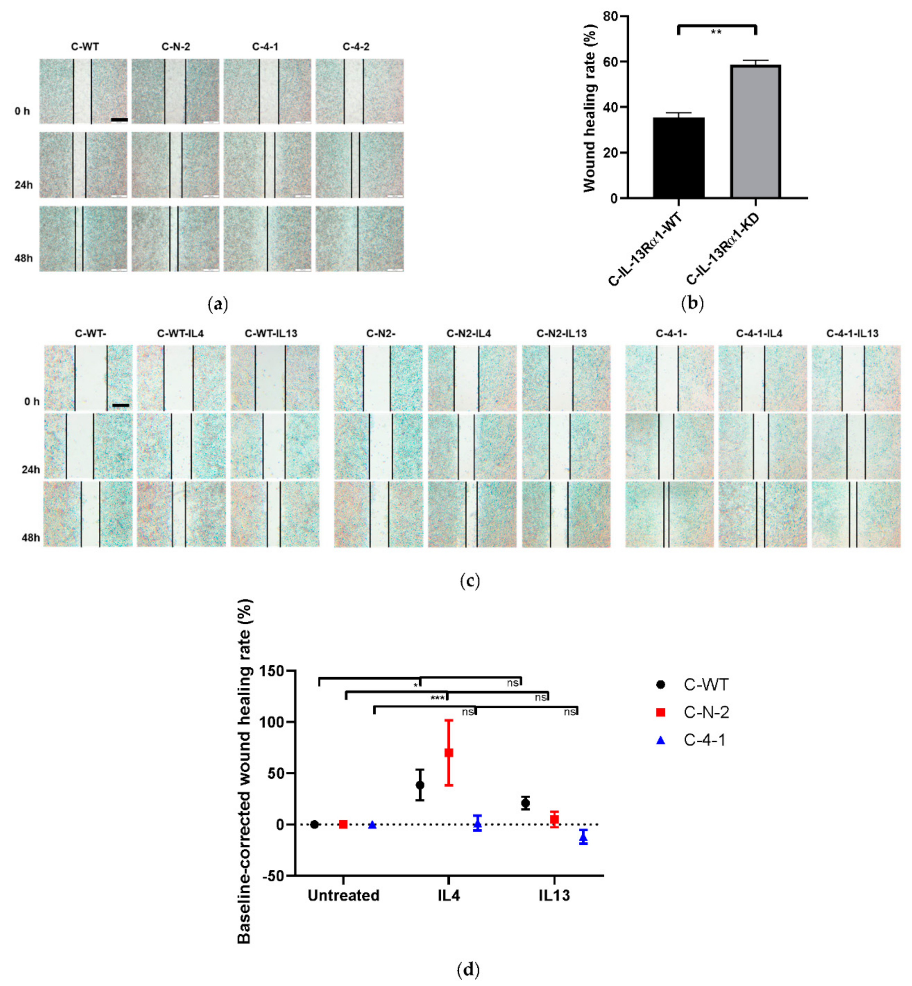 Ijms 23 03659 g005 Ijms 23 03659 g005