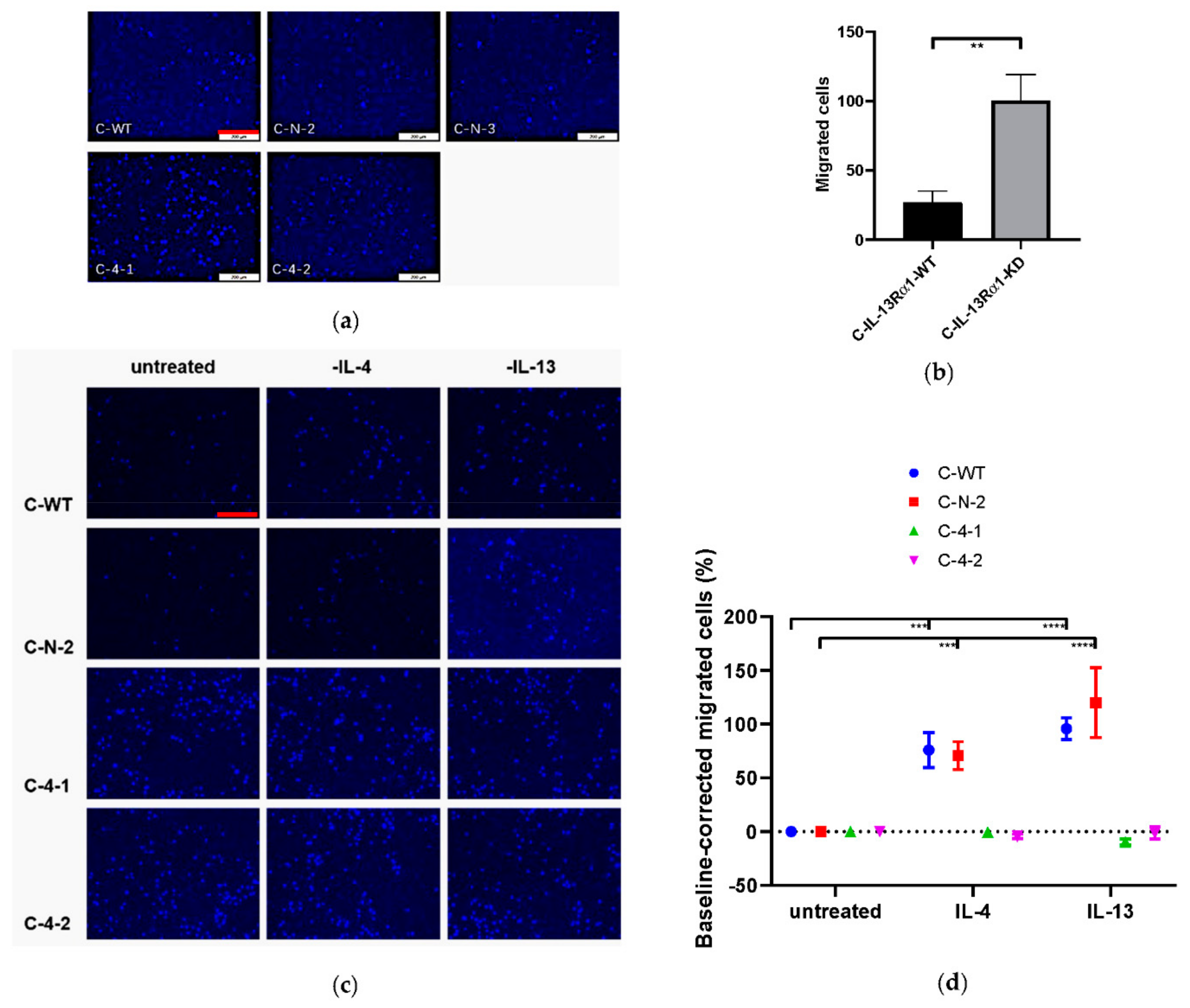 Ijms 23 03659 g006 Ijms 23 03659 g006