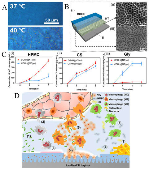 Smart Hydrogels for Advanced Drug Delivery Systems
