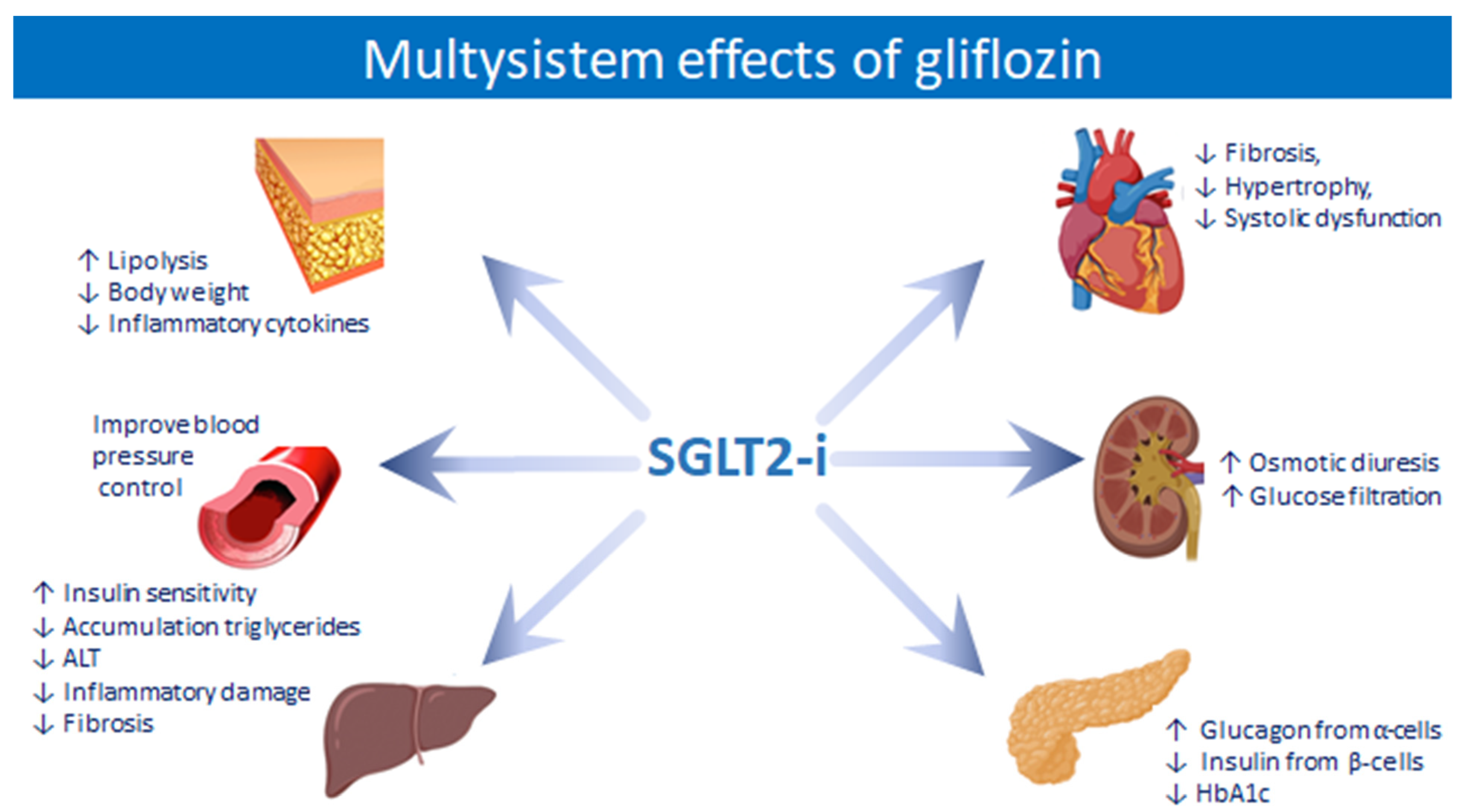 Ijms 23 03668 g002 Ijms 23 03668 g002