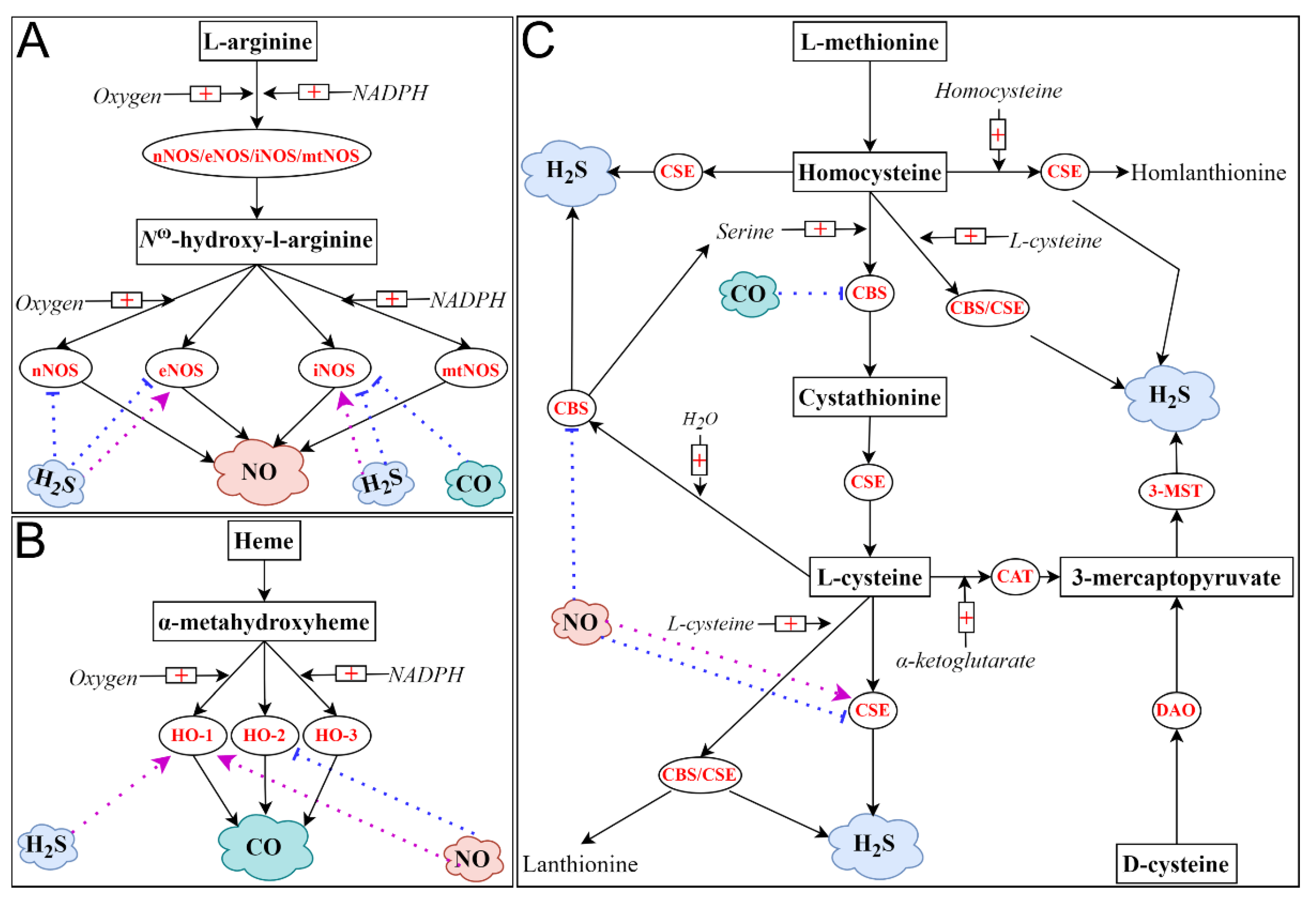 Ijms 23 03669 g002 Ijms 23 03669 g002