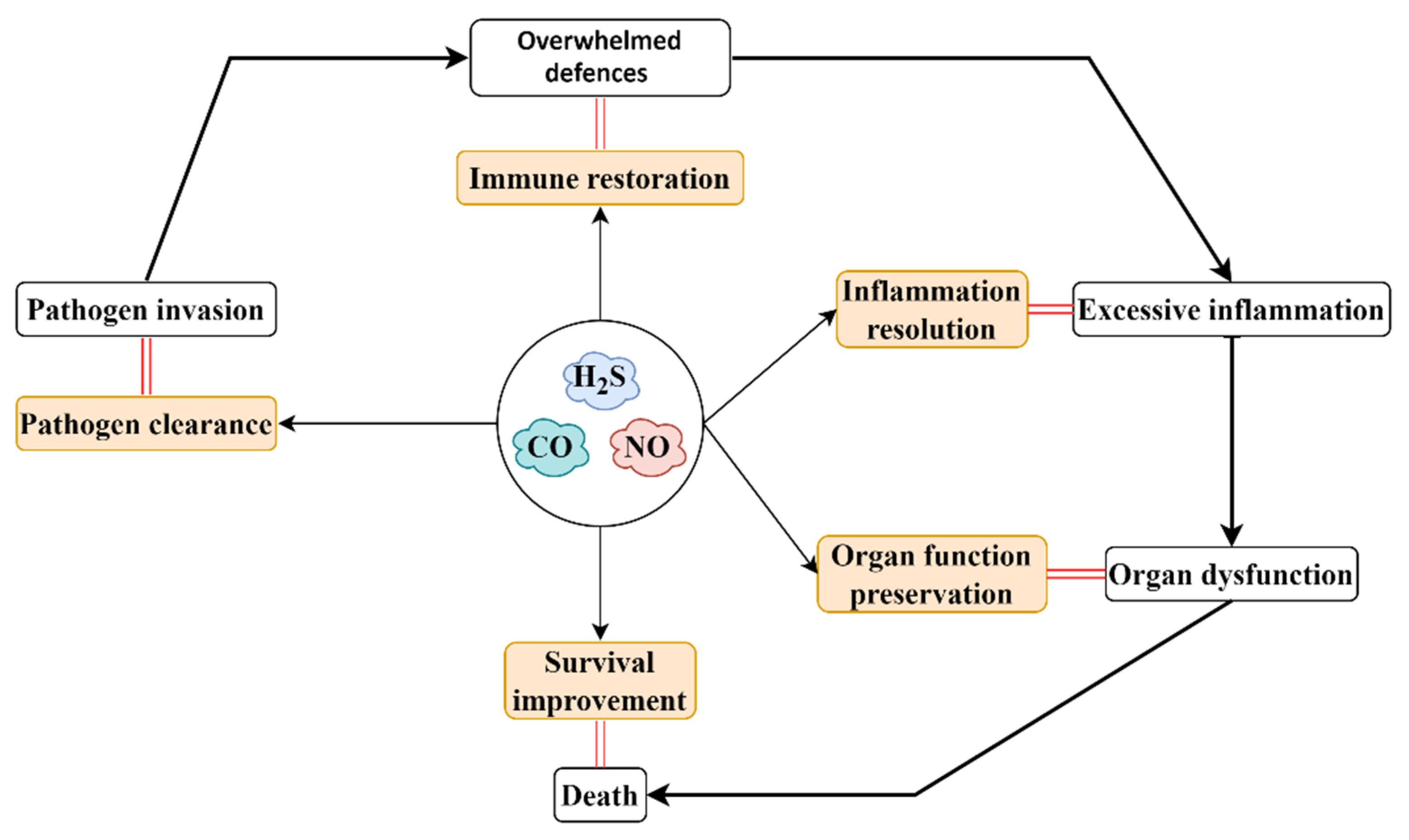 Ijms 23 03669 g003 Ijms 23 03669 g003