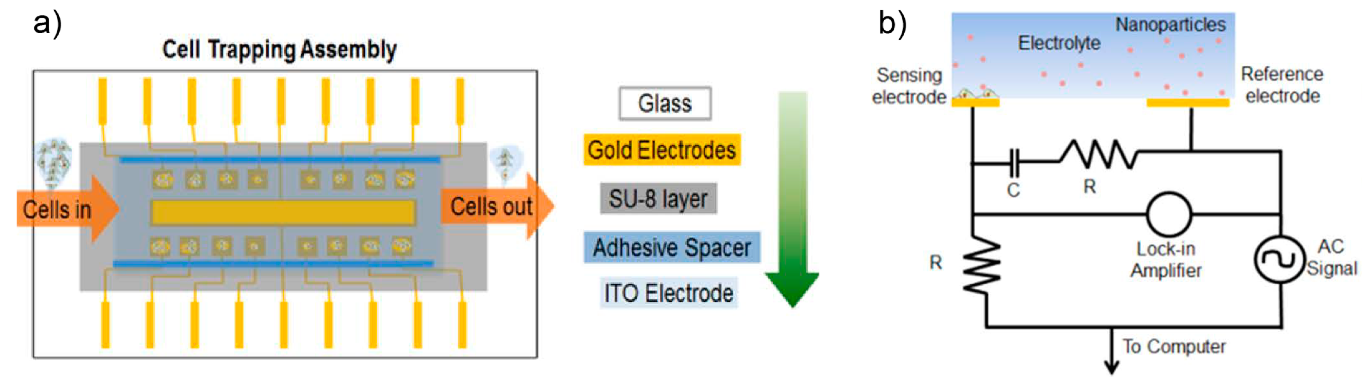 Ijms 23 03672 g003 550