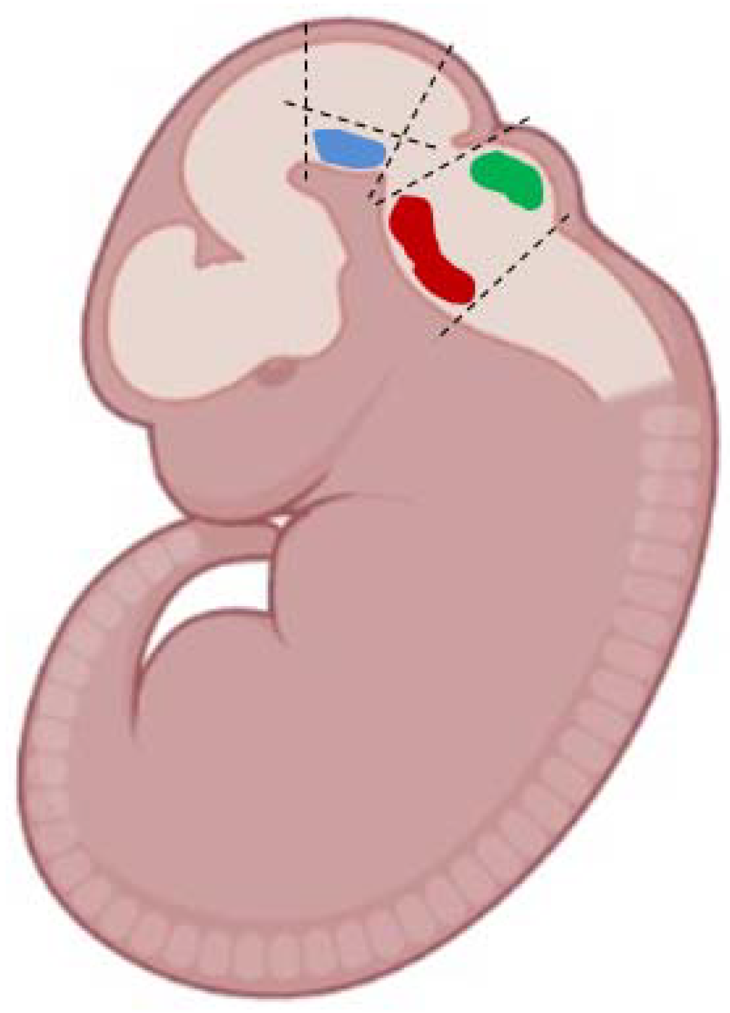 Ijms 23 03678 g012 550