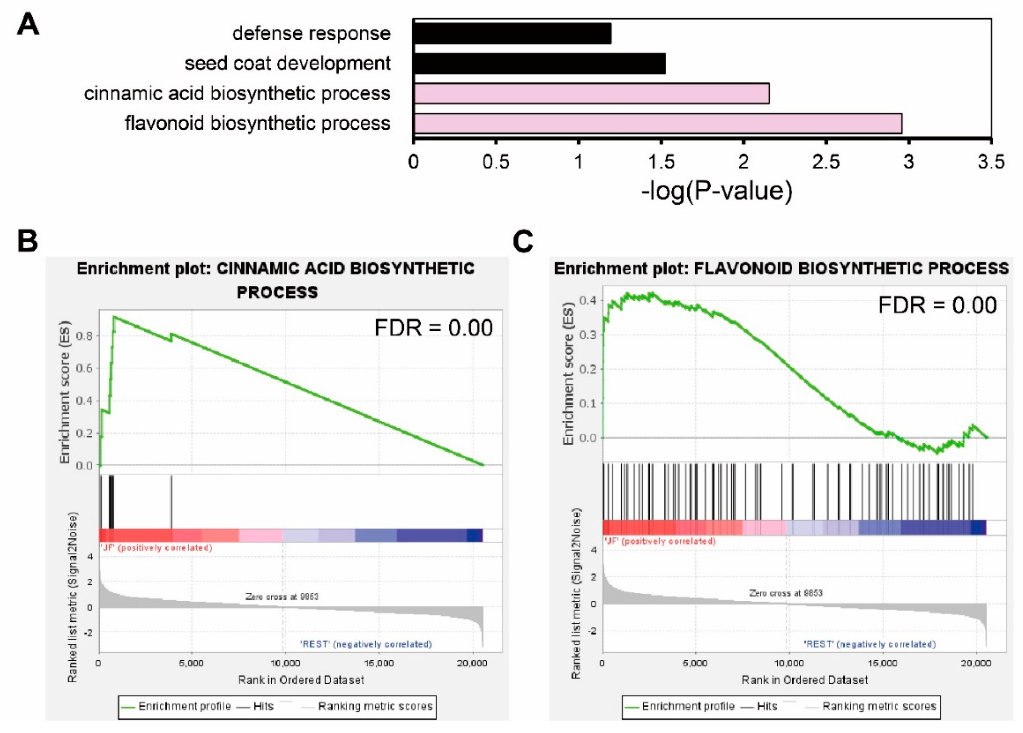 Ijms 23 03681 g004 550