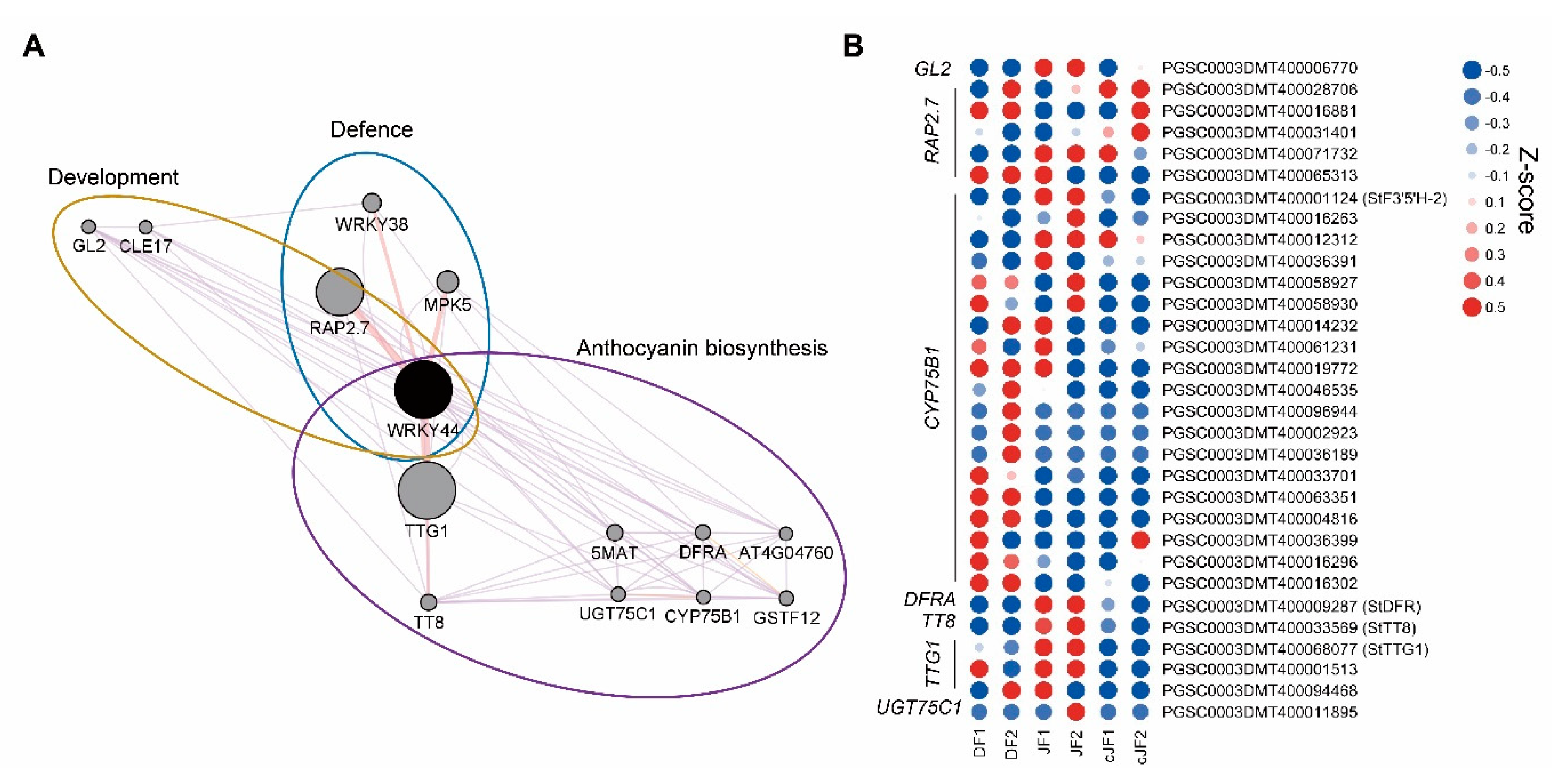 Ijms 23 03681 g006 550