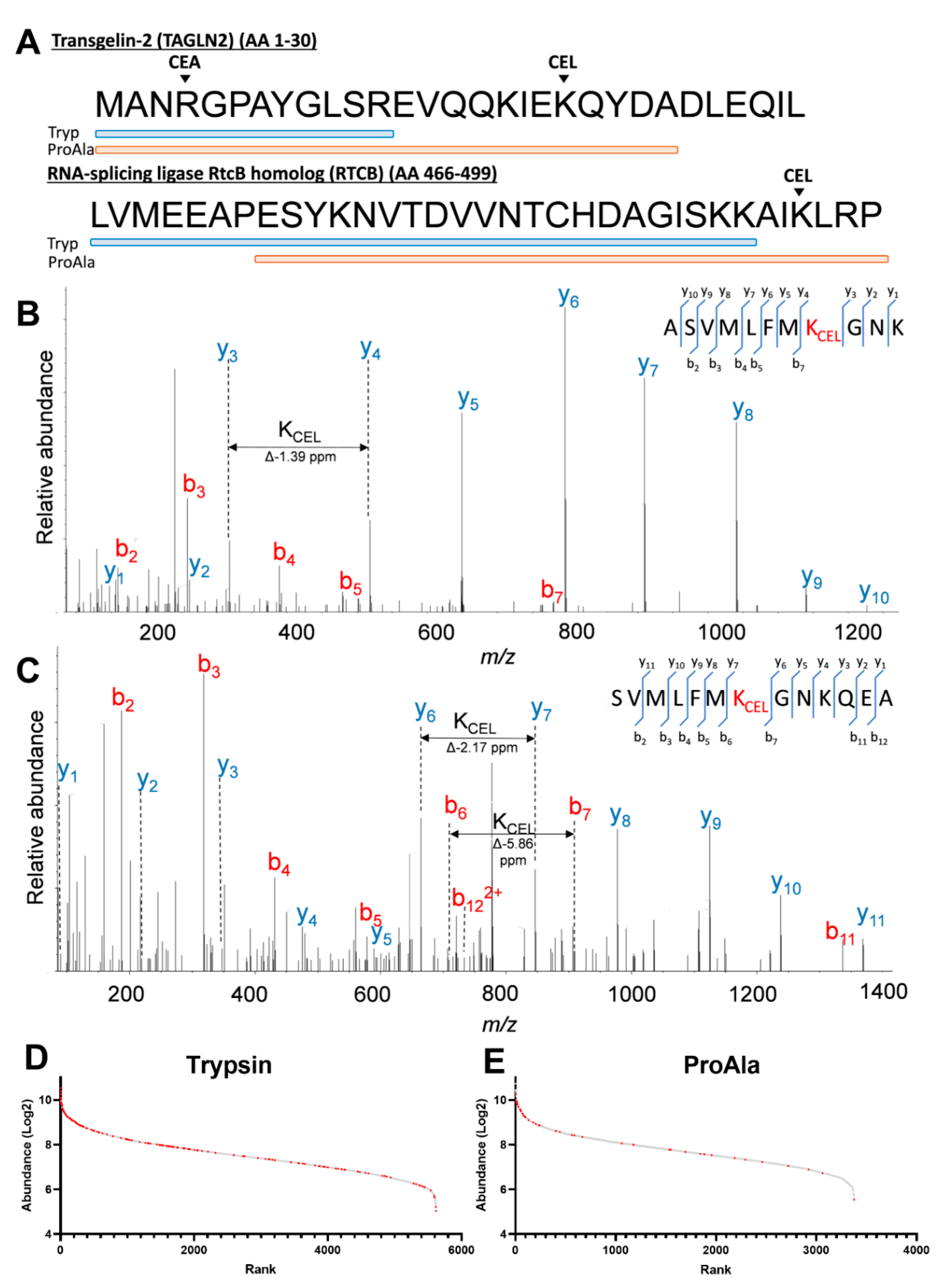 Ijms 23 03689 g001 550