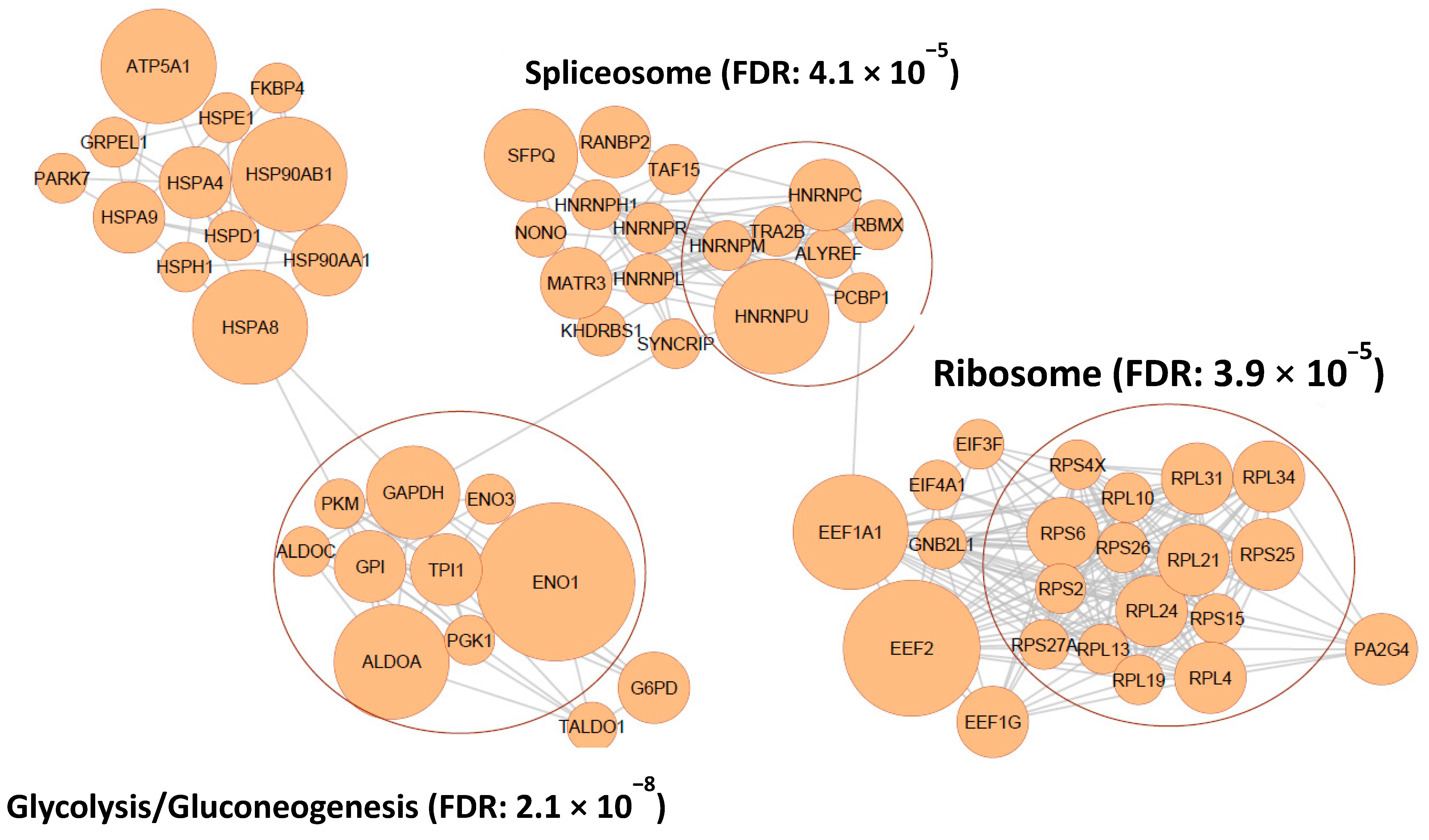Ijms 23 03689 g002 550