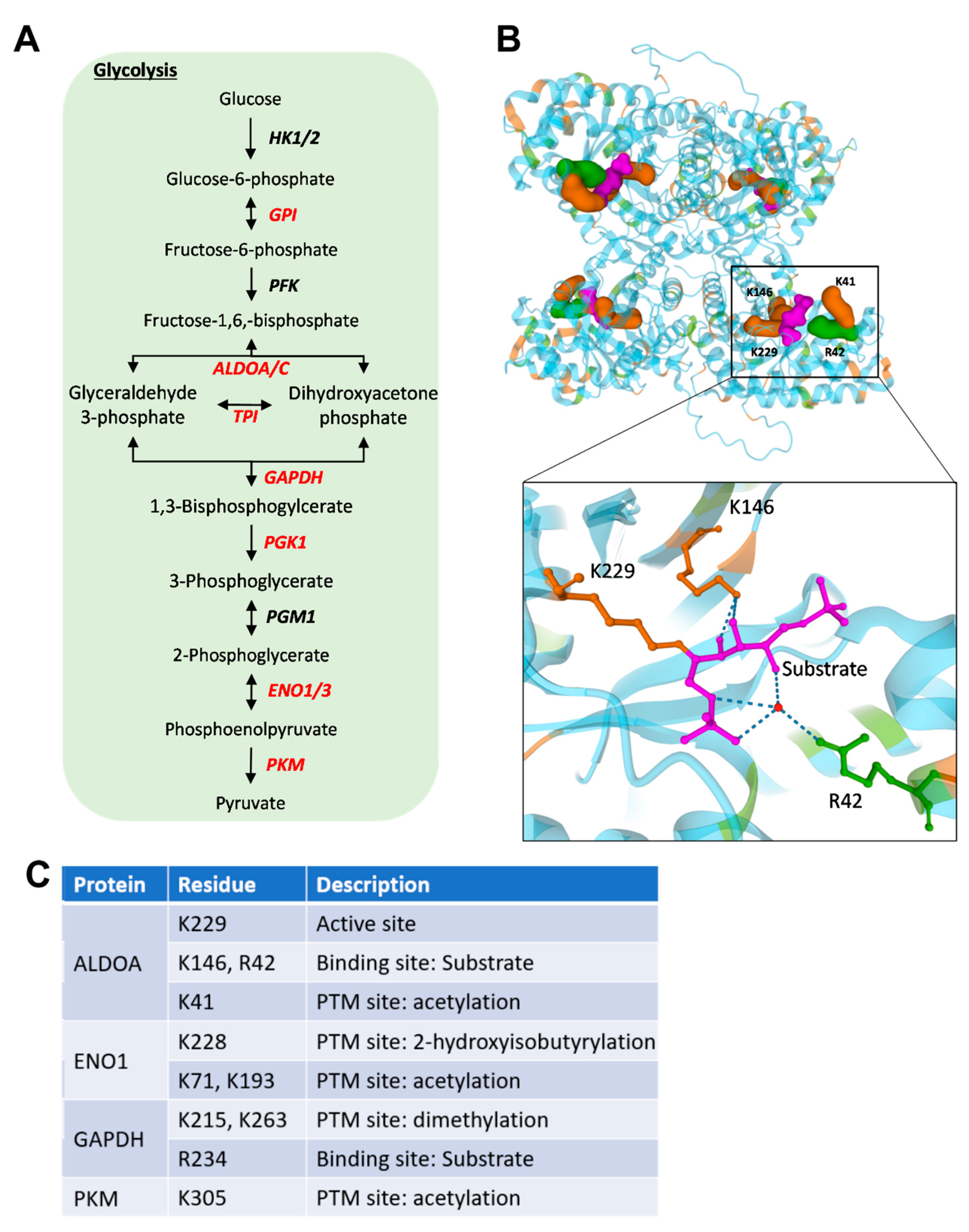 Ijms 23 03689 g003 550