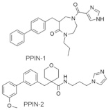 Ijms 23 03706 i017 Ijms 23 03706 i017