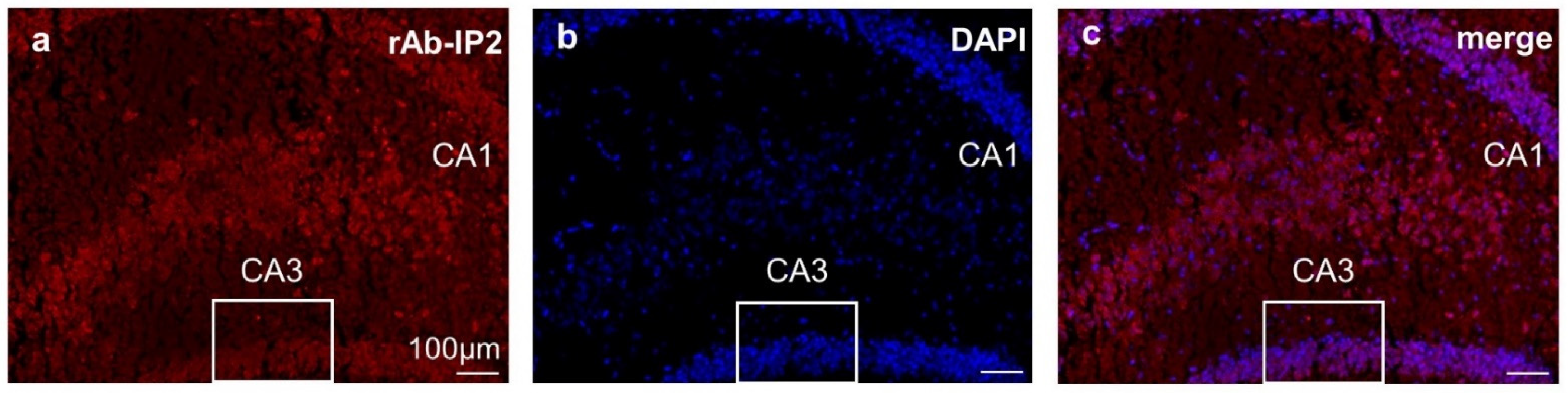 Ijms 23 03707 g003 550