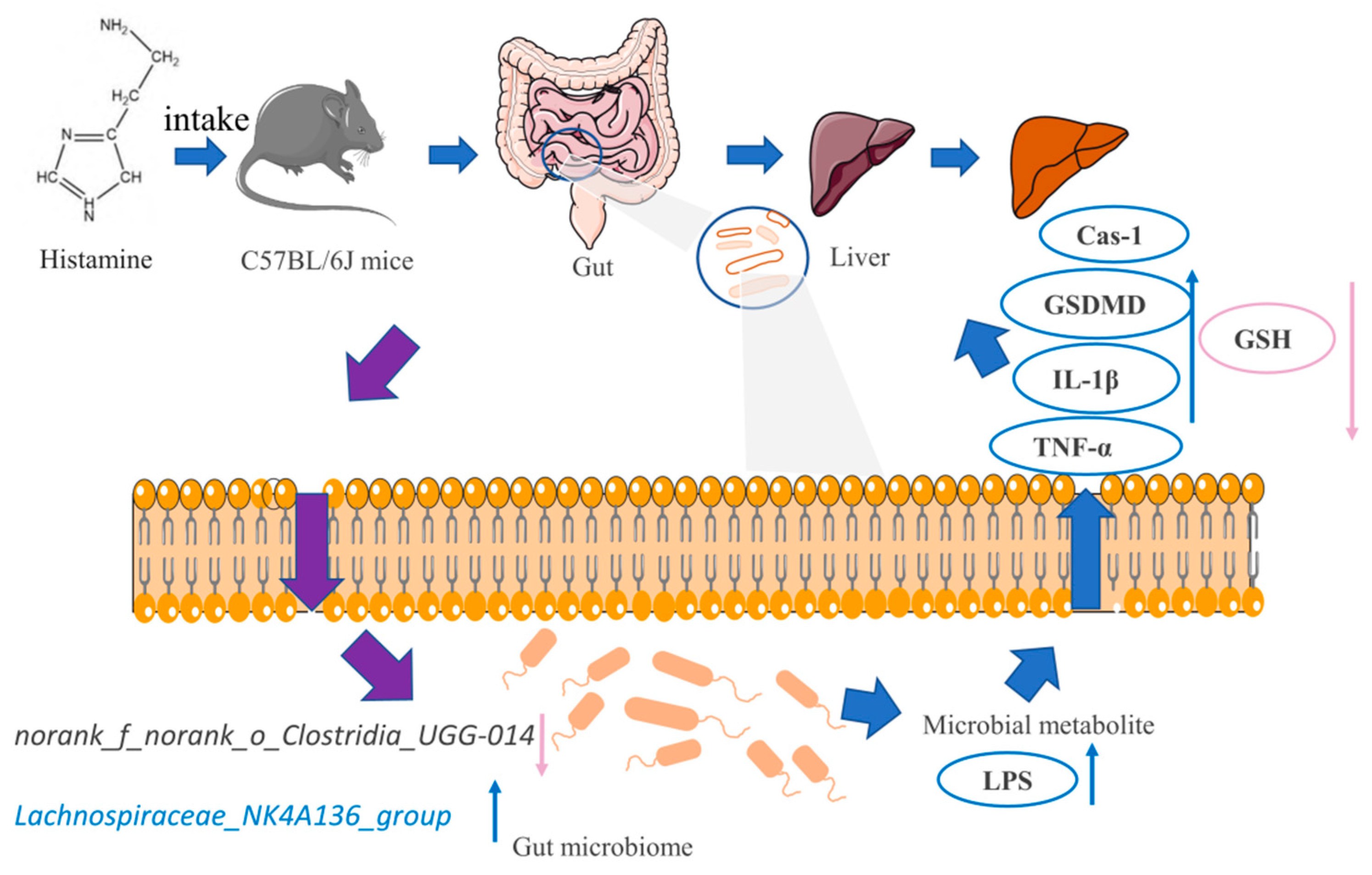Ijms 23 03710 g007 550