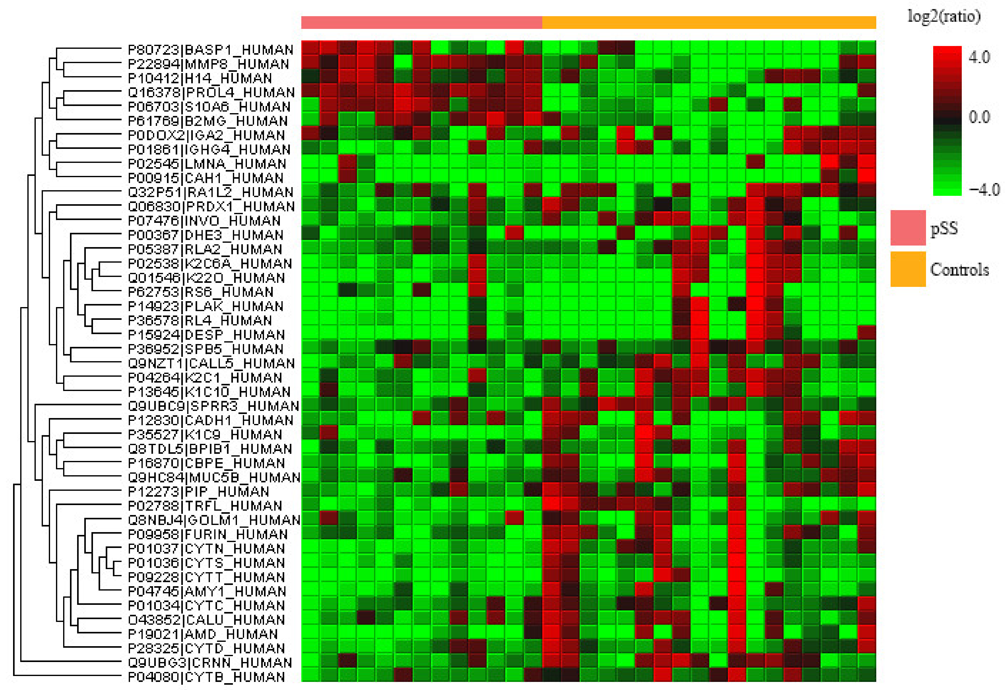 Ijms 23 03714 g002 550