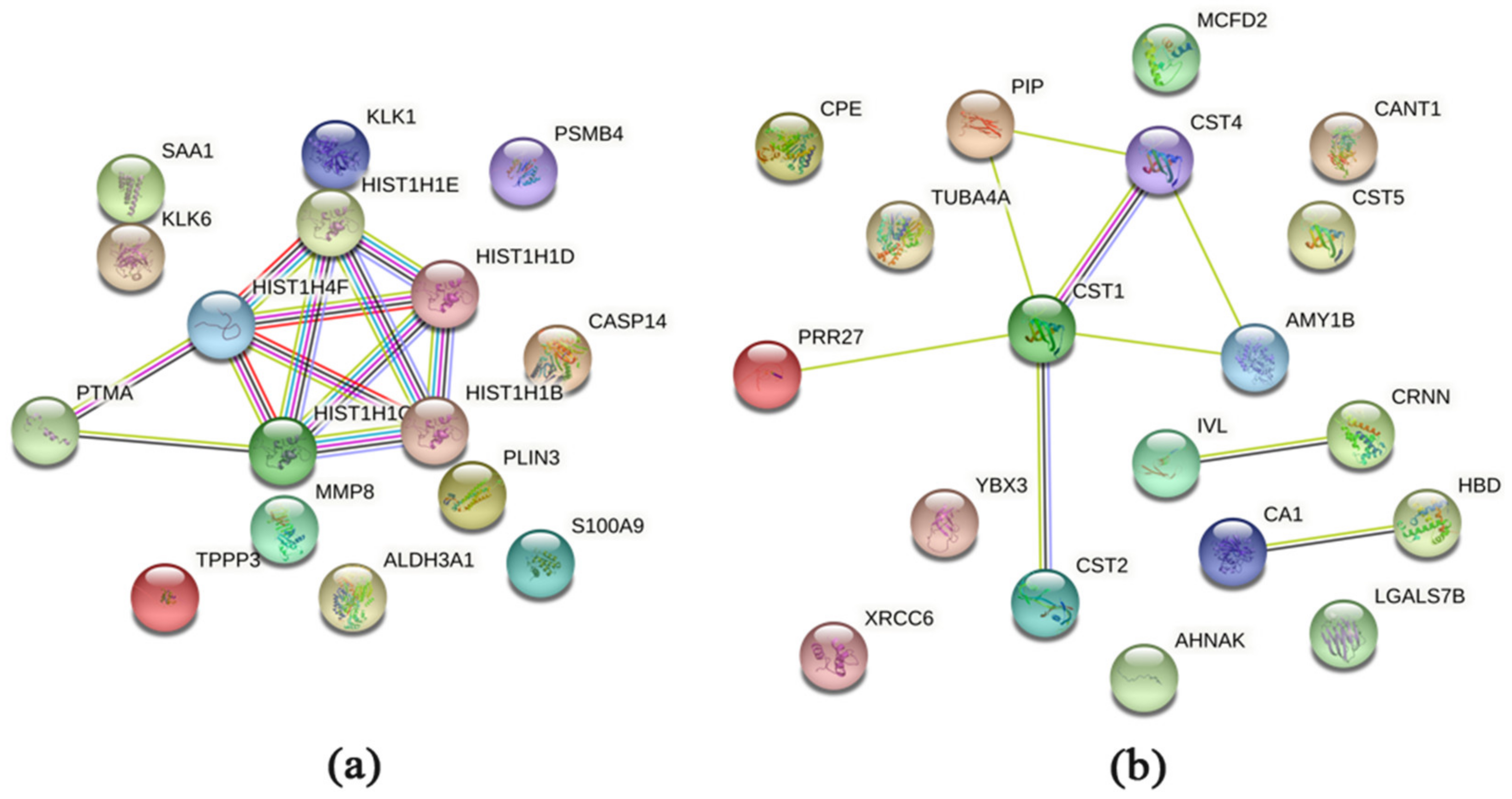 Ijms 23 03714 g004 550