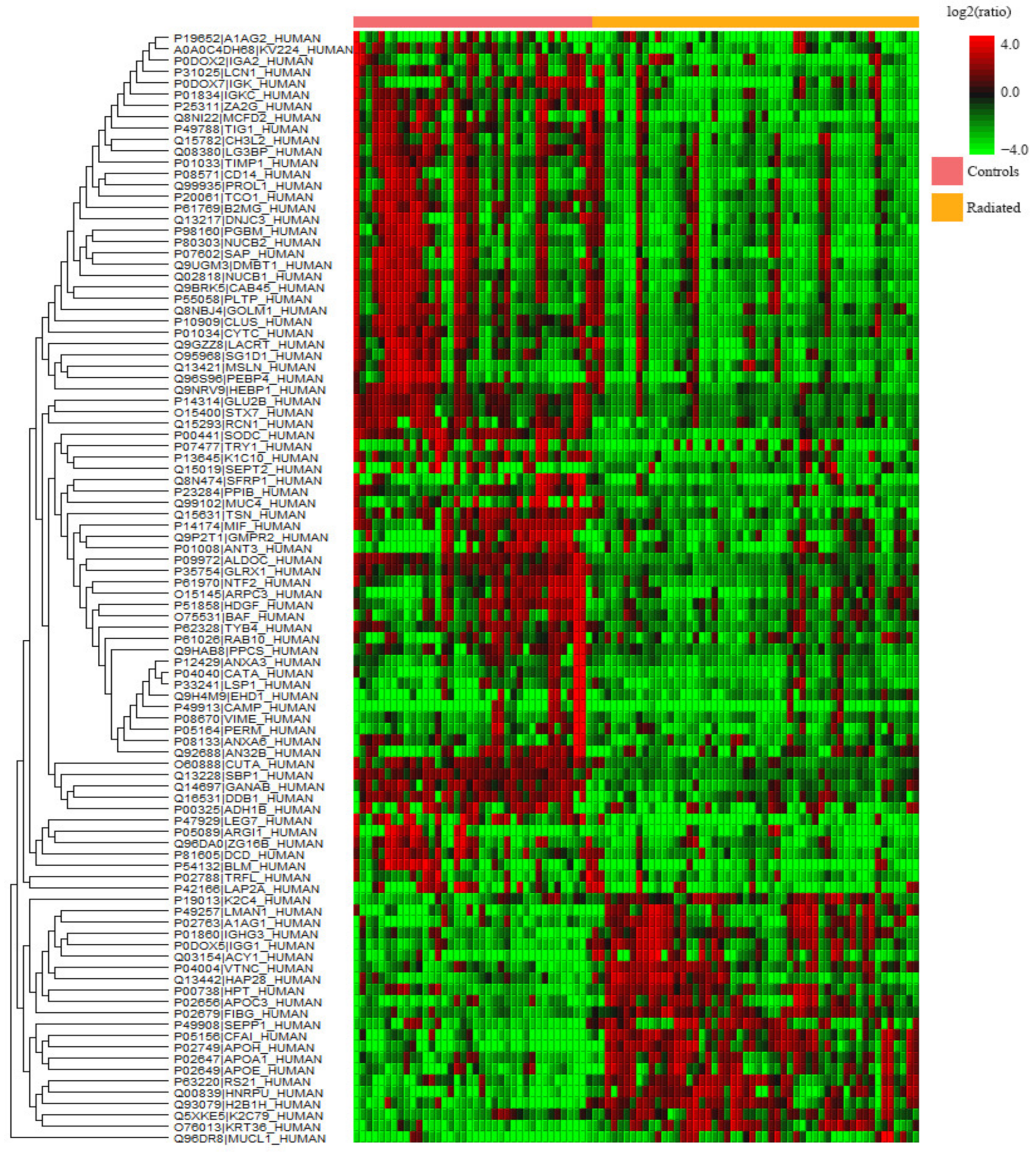 Ijms 23 03714 g005 550
