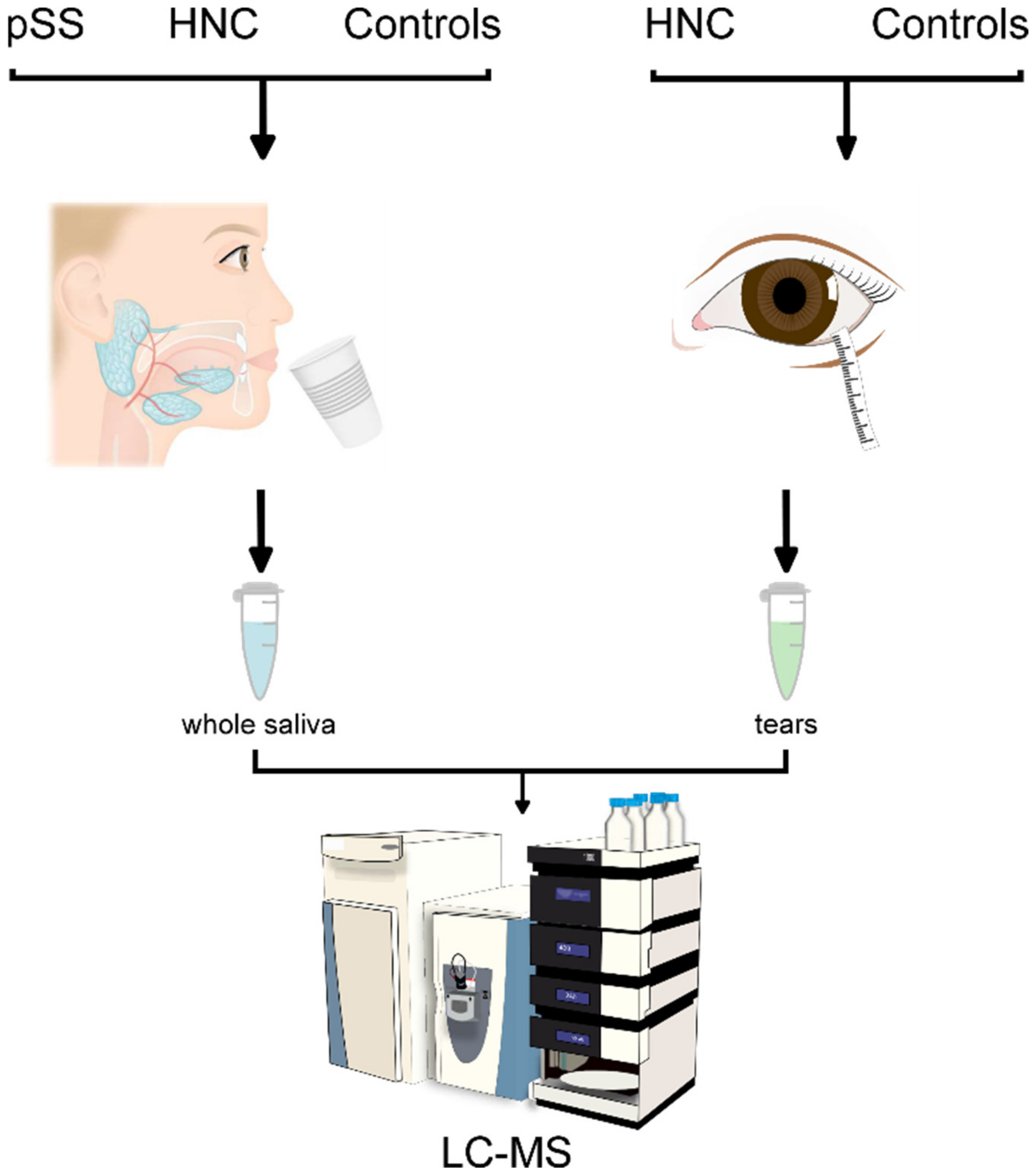 Ijms 23 03714 g008 550