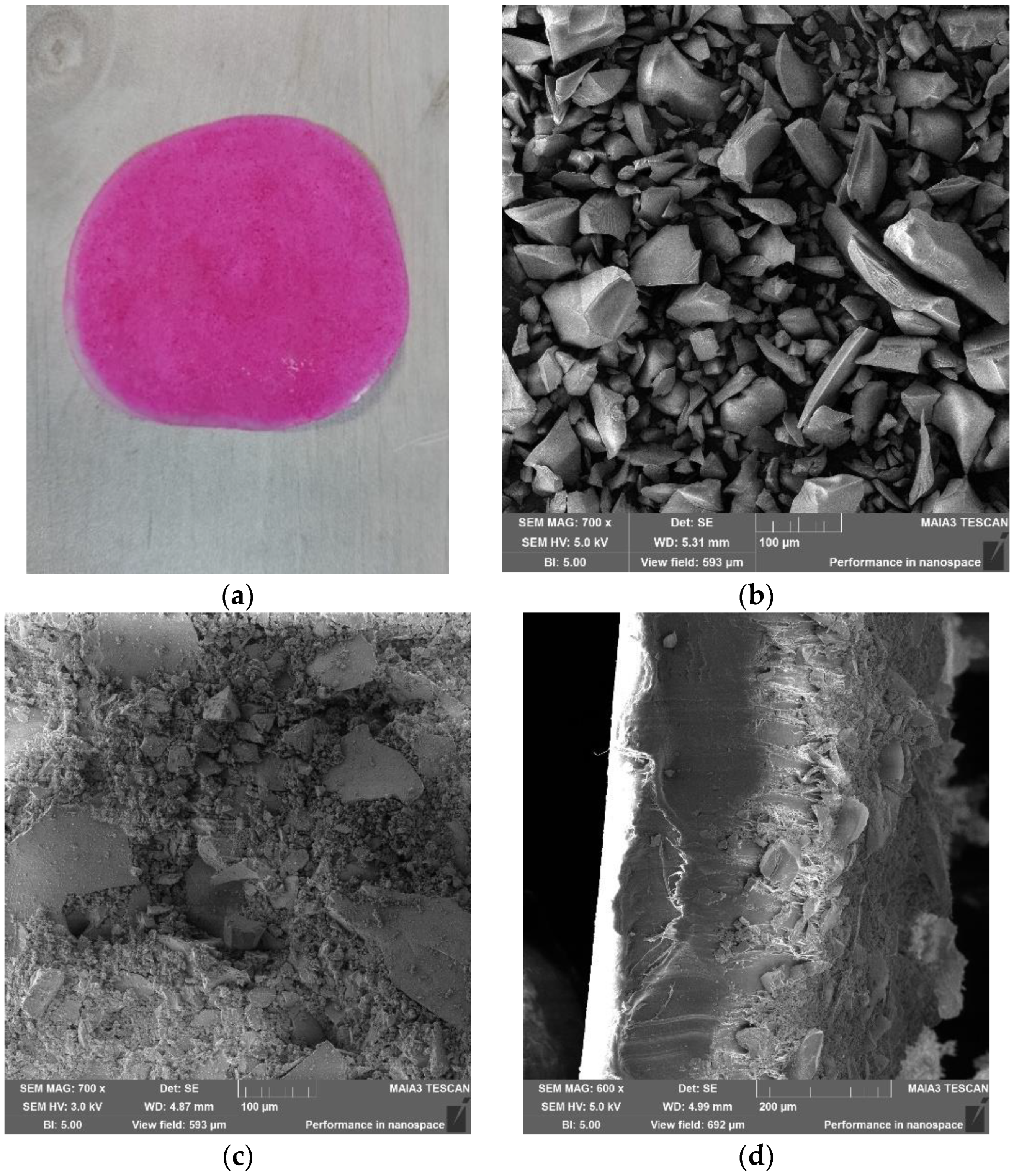 Ijms 23 03716 g002 550