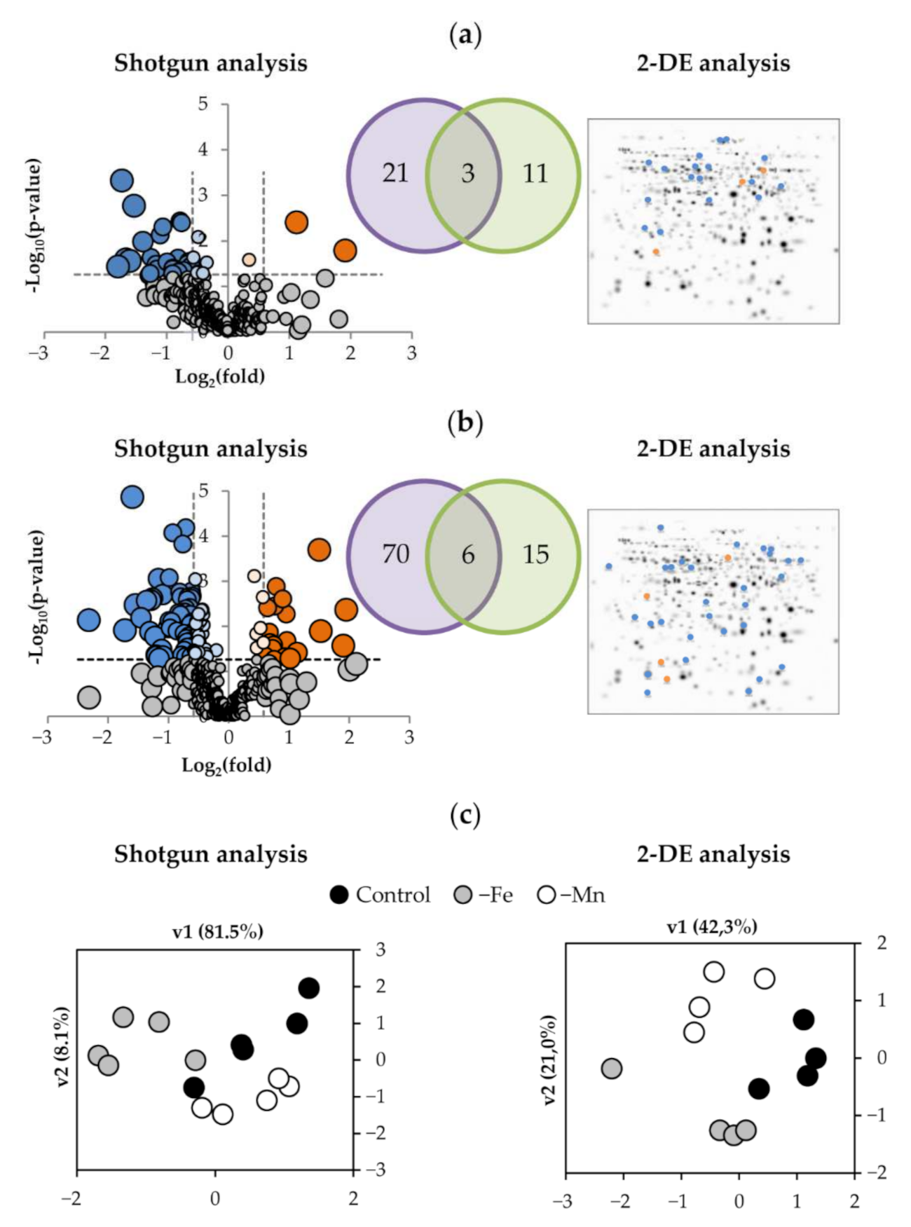 Ijms 23 03719 g002 550