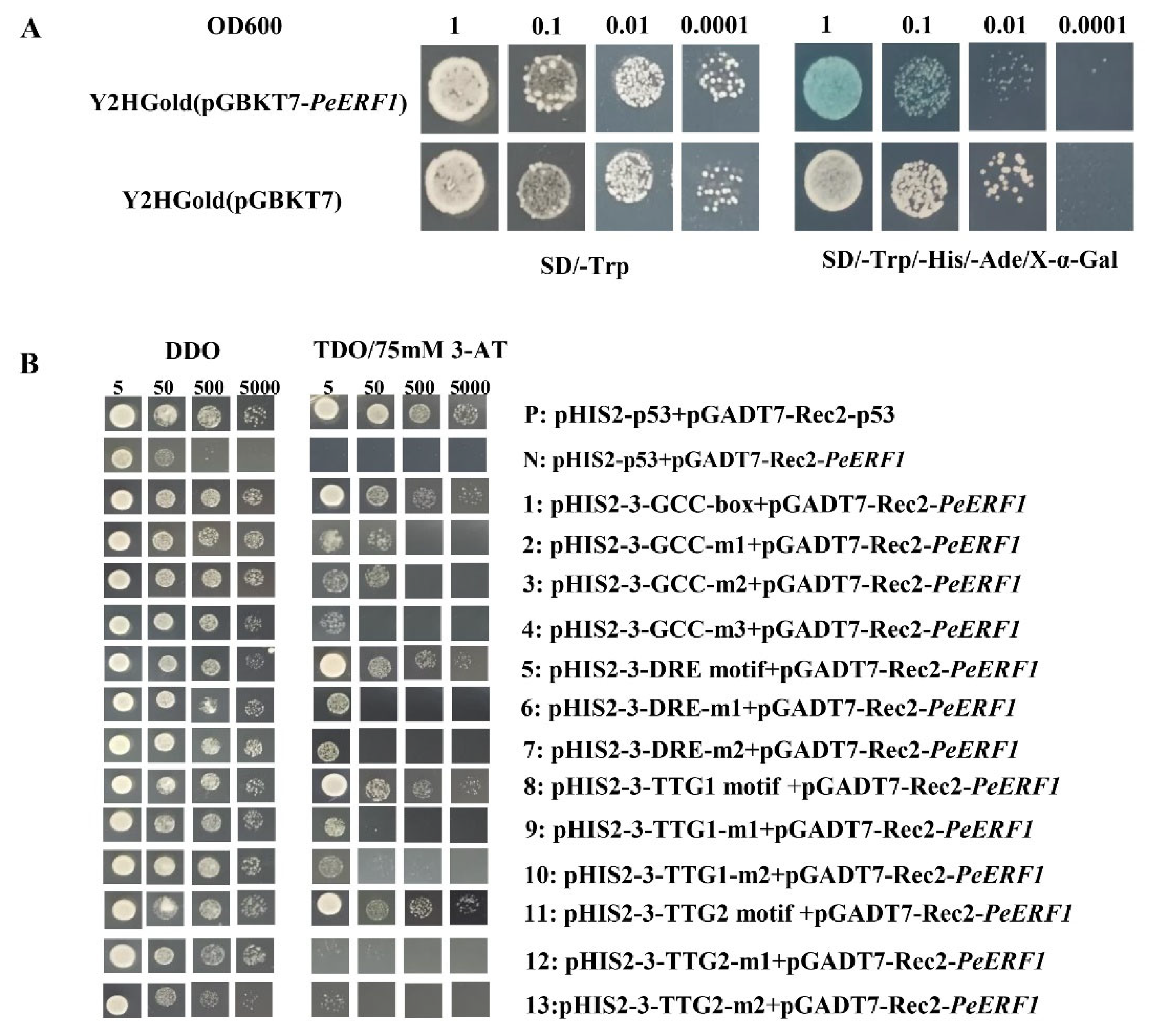 Ijms 23 03727 g005 550