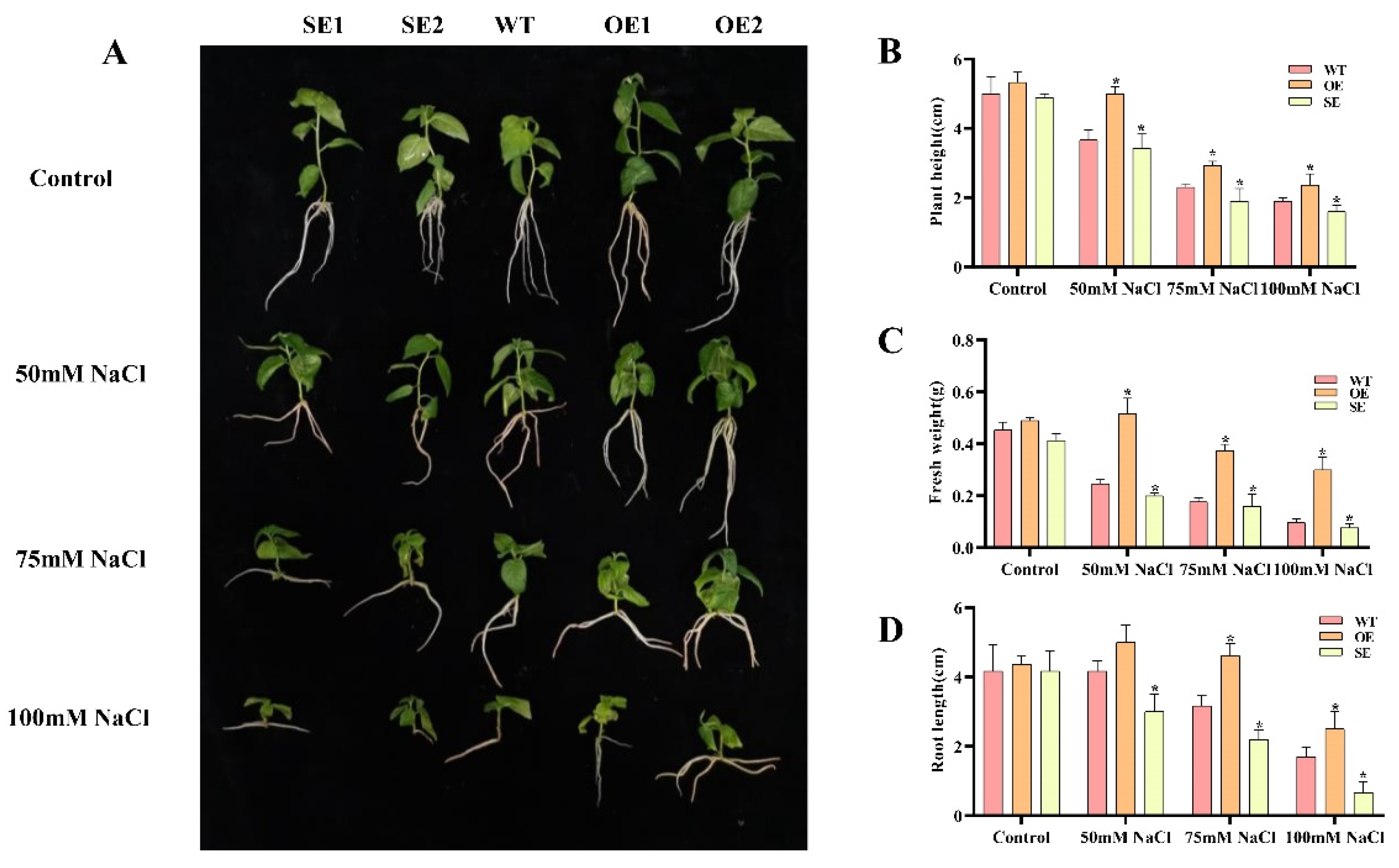 Ijms 23 03727 g006 550