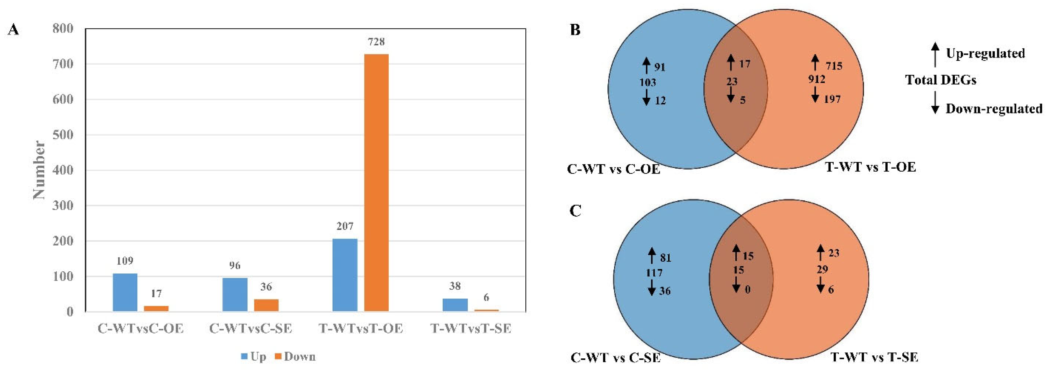 Ijms 23 03727 g010 550