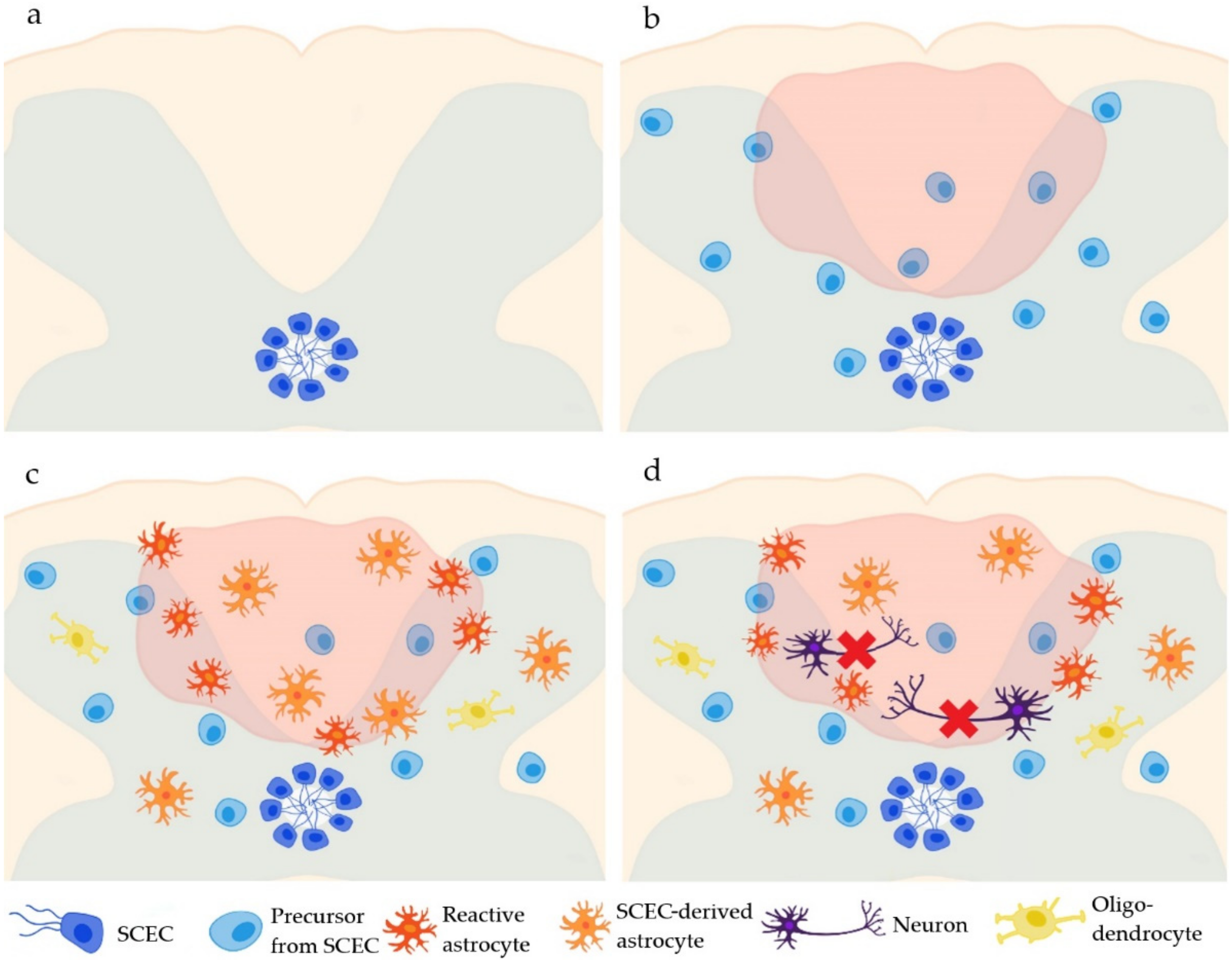 Ijms 23 03728 g001 550