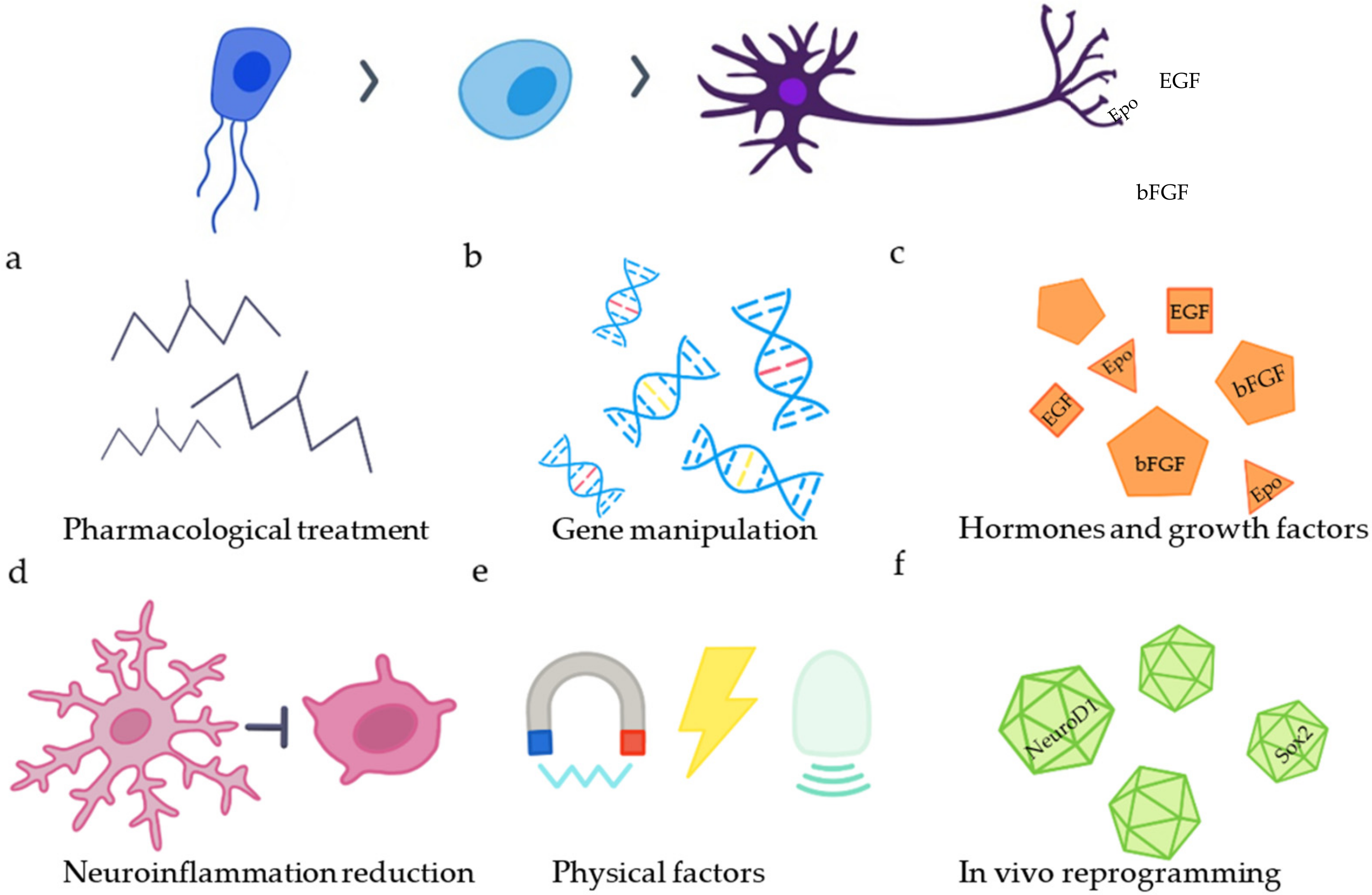 Ijms 23 03728 g002 550