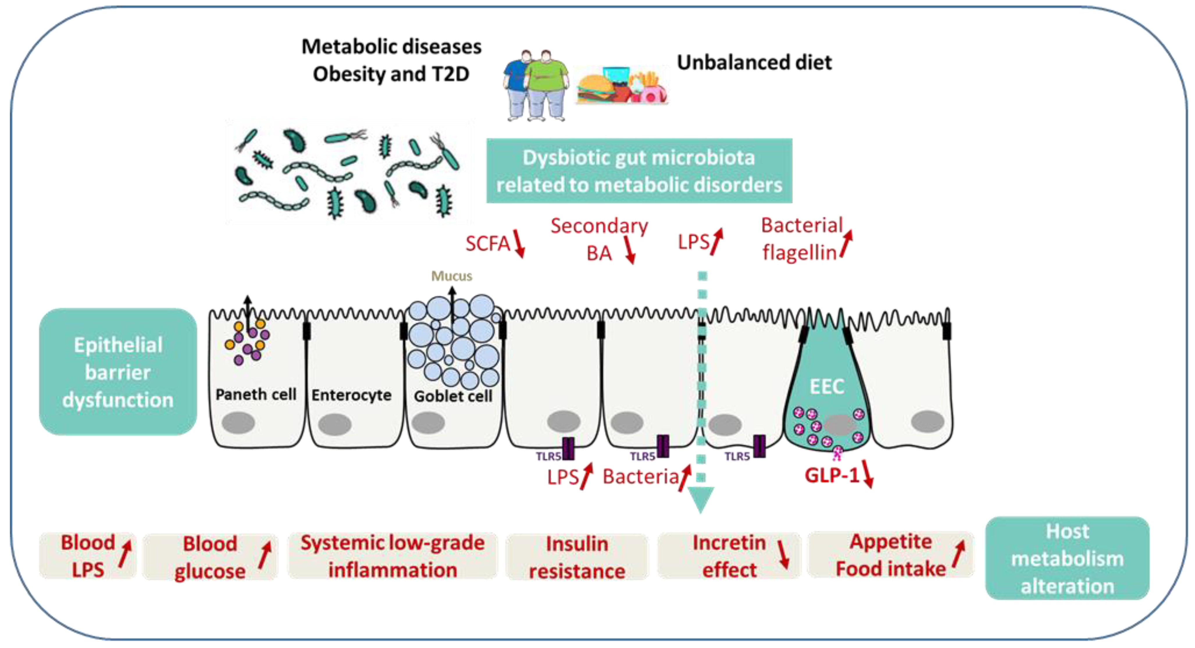 Ijms 23 03732 g002 Ijms 23 03732 g002