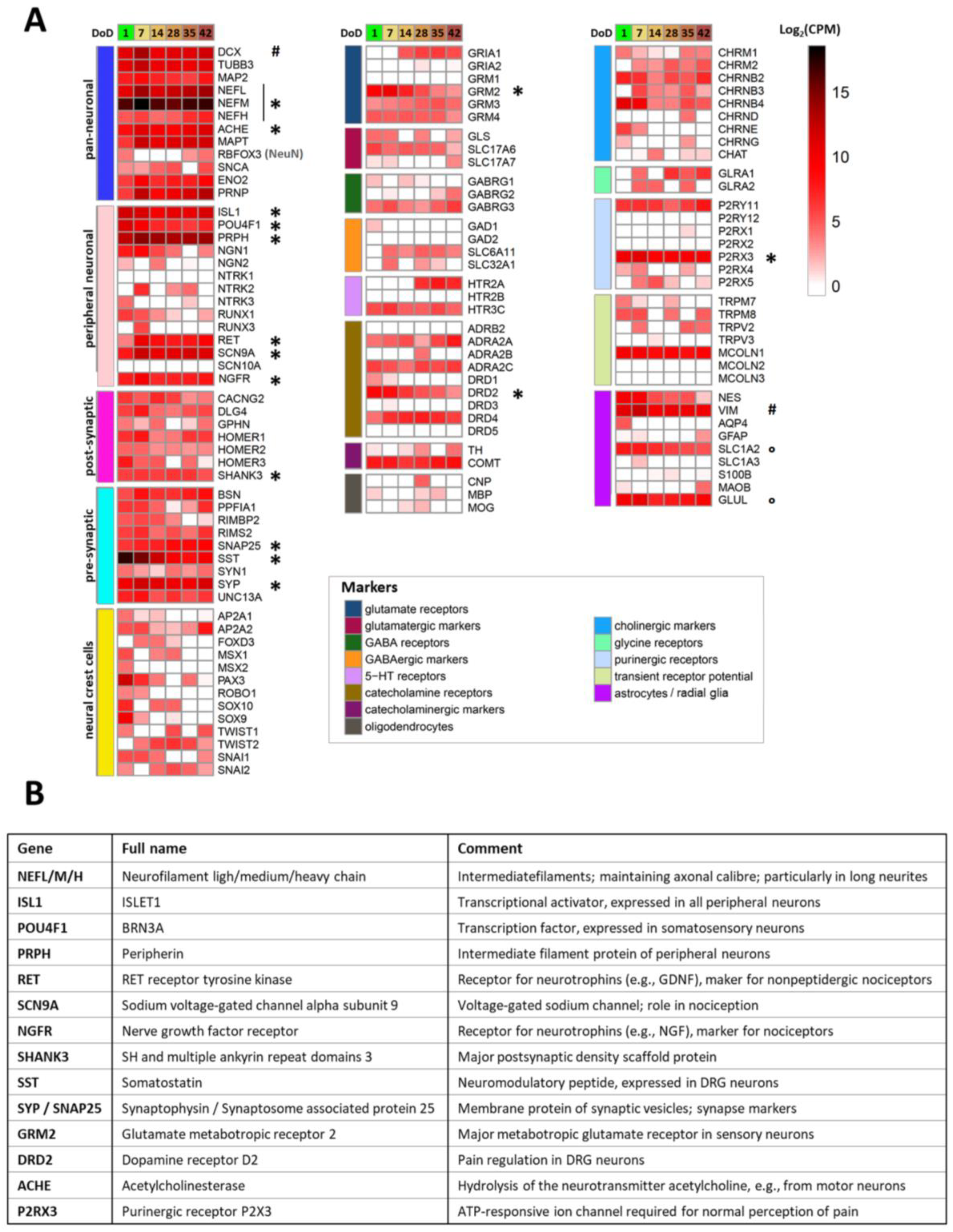 Ijms 23 03734 g004 Ijms 23 03734 g004
