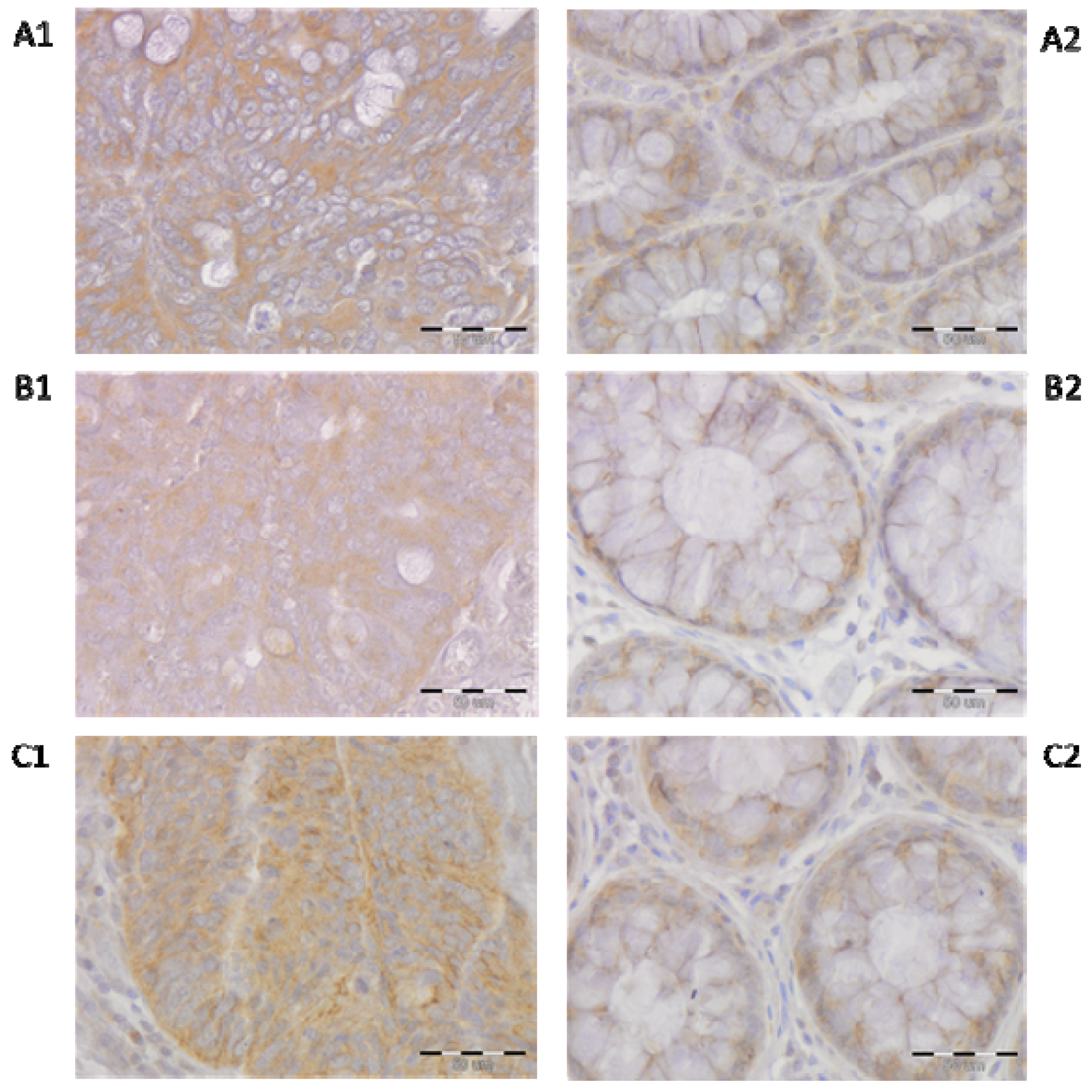 Ijms 23 03735 g001 550