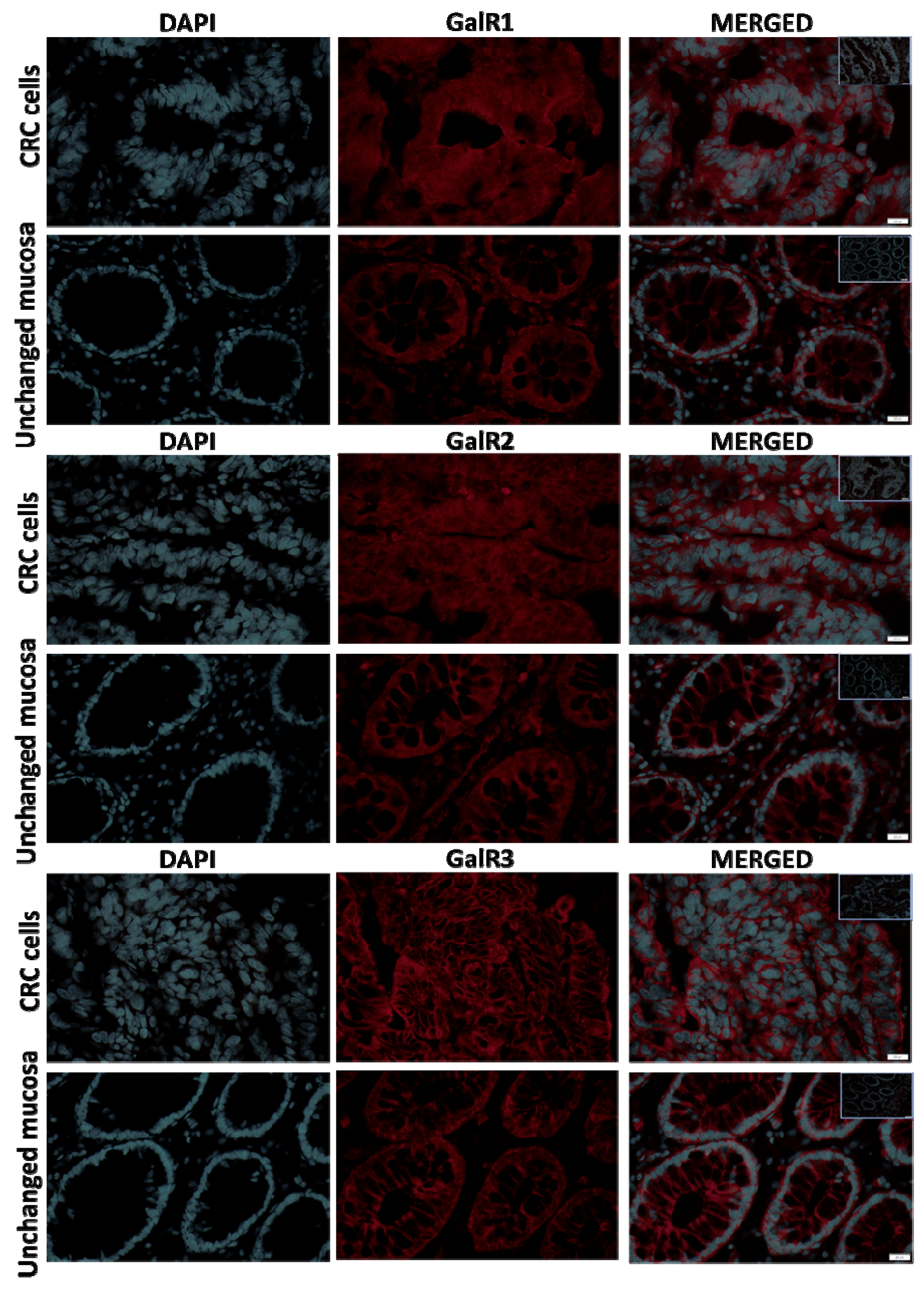 Ijms 23 03735 g003 550