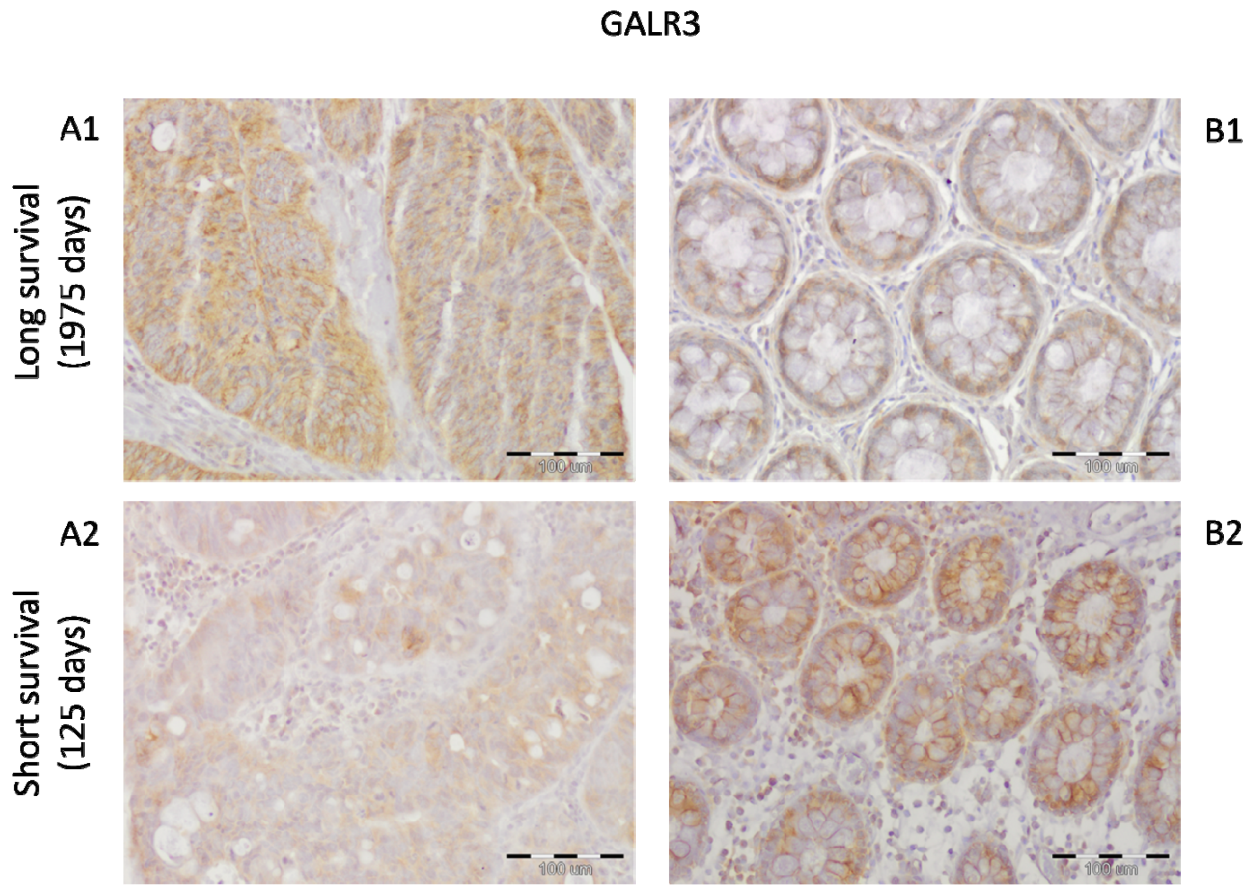 Ijms 23 03735 g006 550