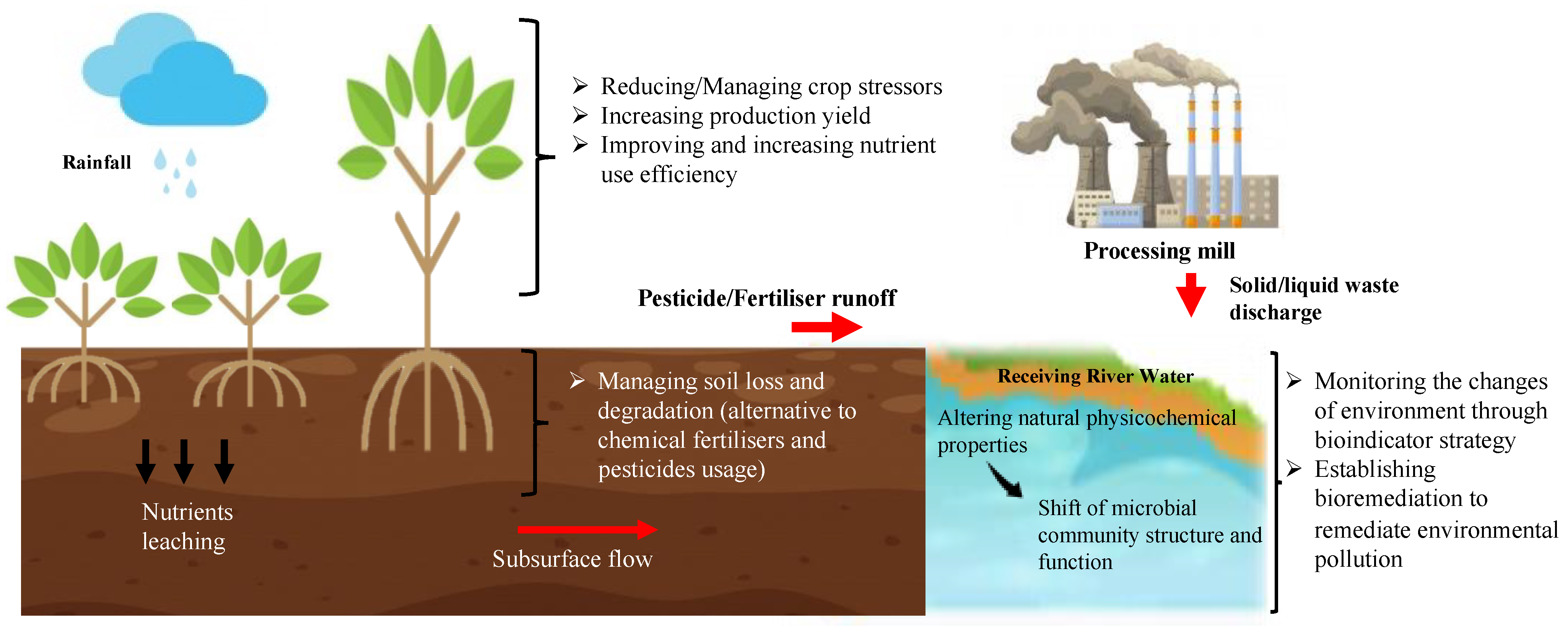 Ijms 23 03737 g002 Ijms 23 03737 g002