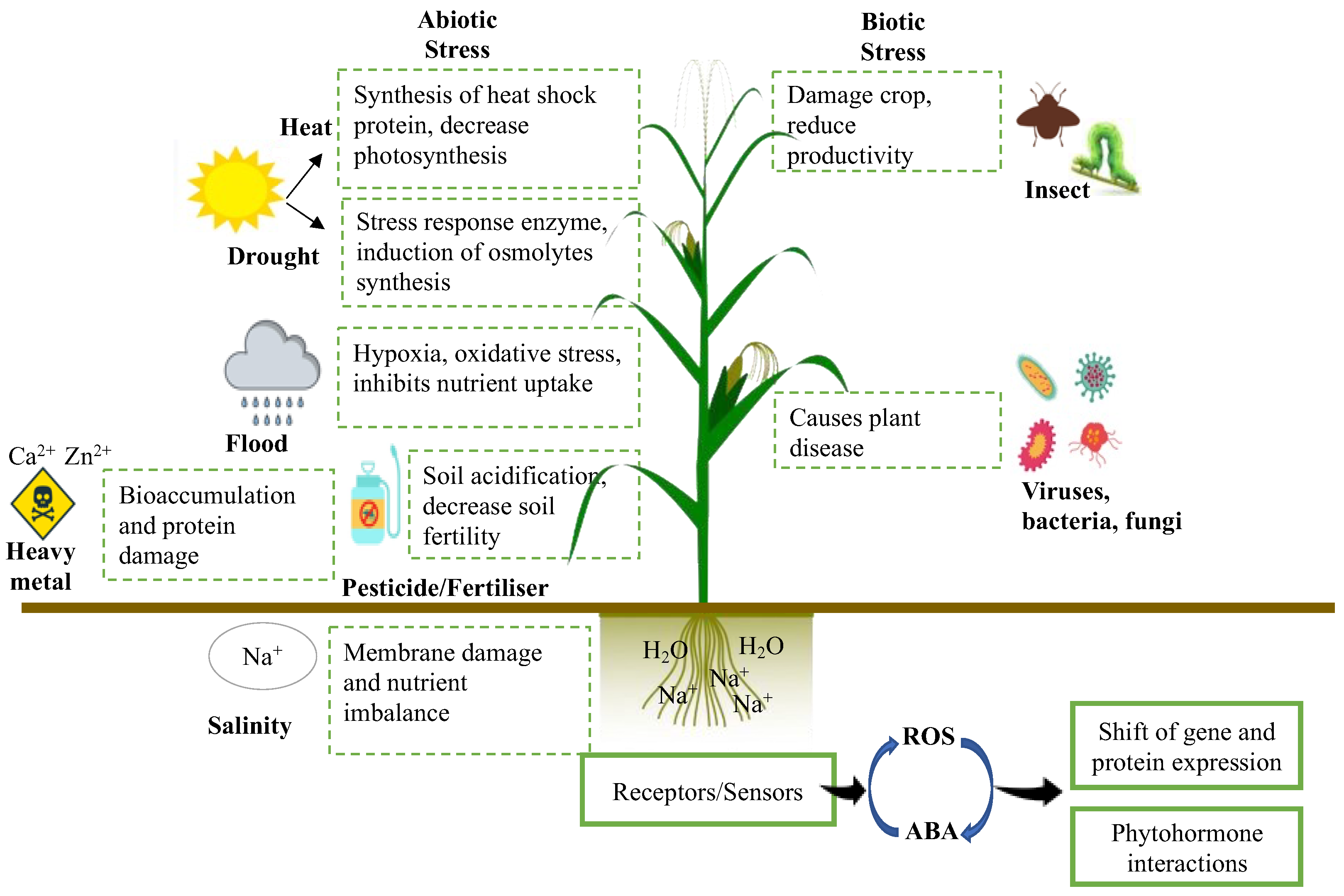 Ijms 23 03737 g003 Ijms 23 03737 g003