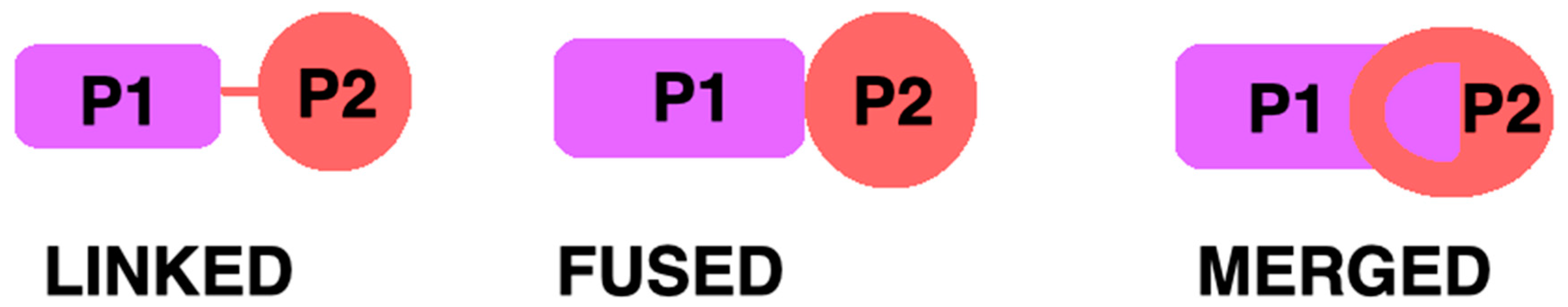 Ijms 23 03739 g003 Ijms 23 03739 g003