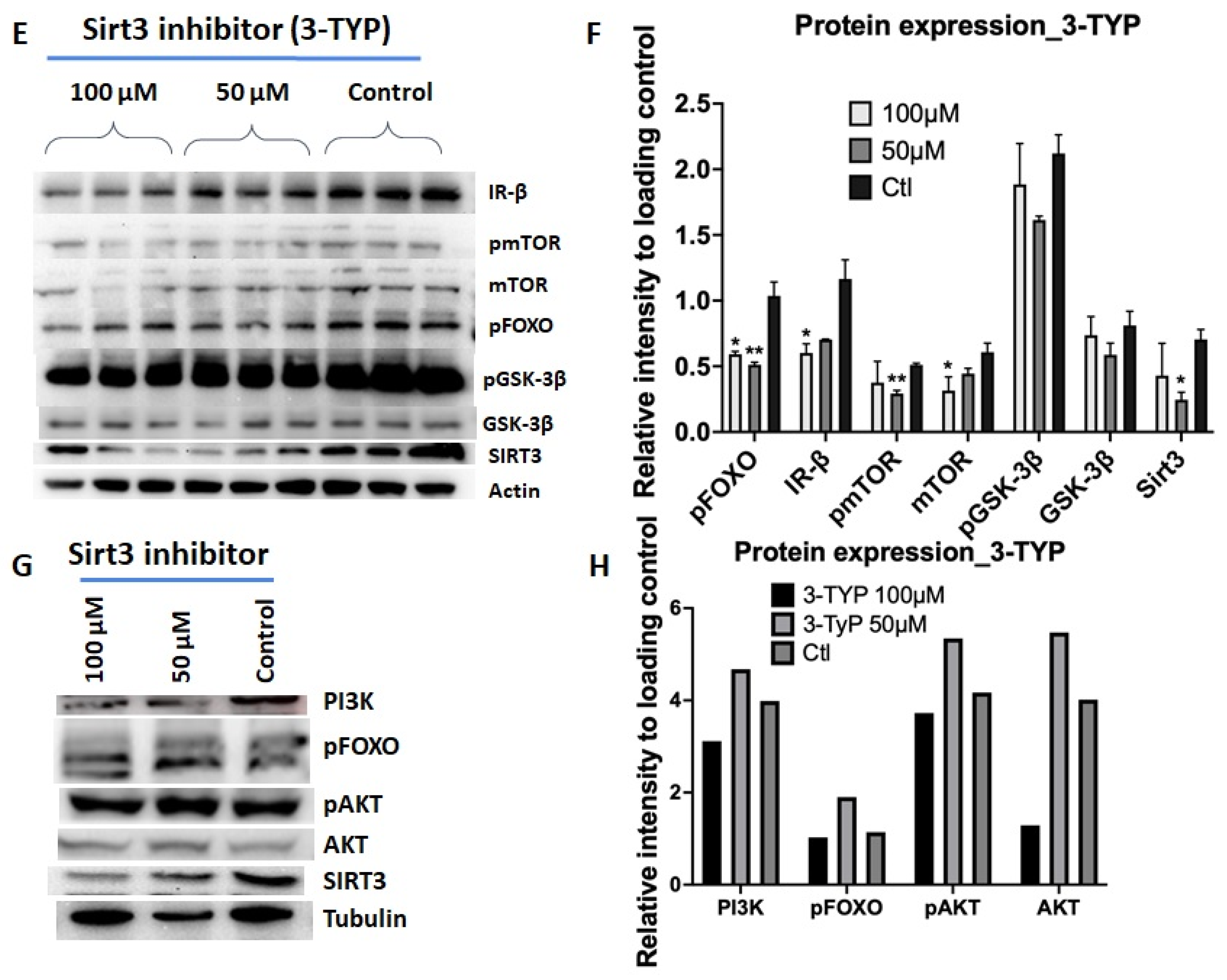 Ijms 23 03740 g005b 550