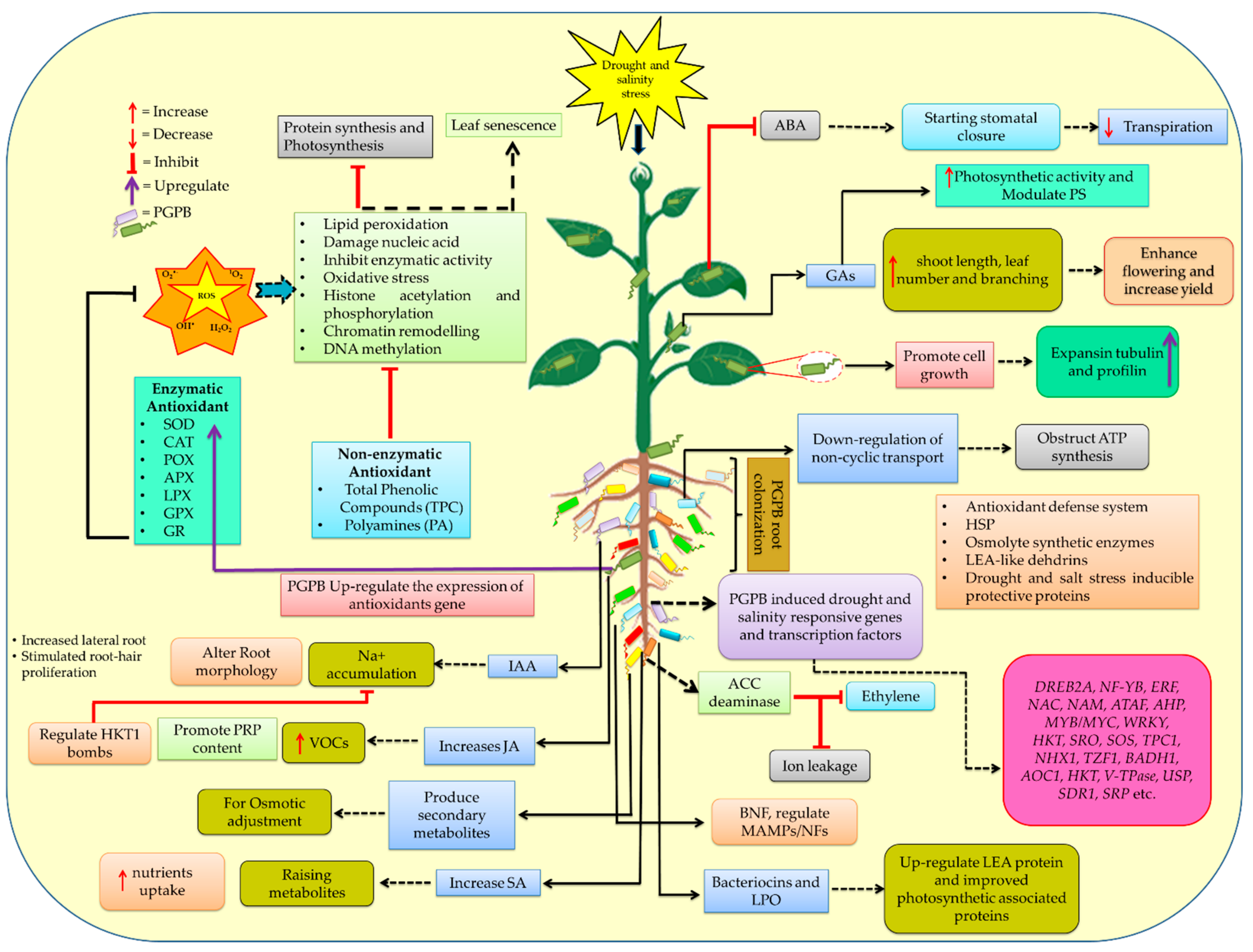 Ijms 23 03741 g002 550