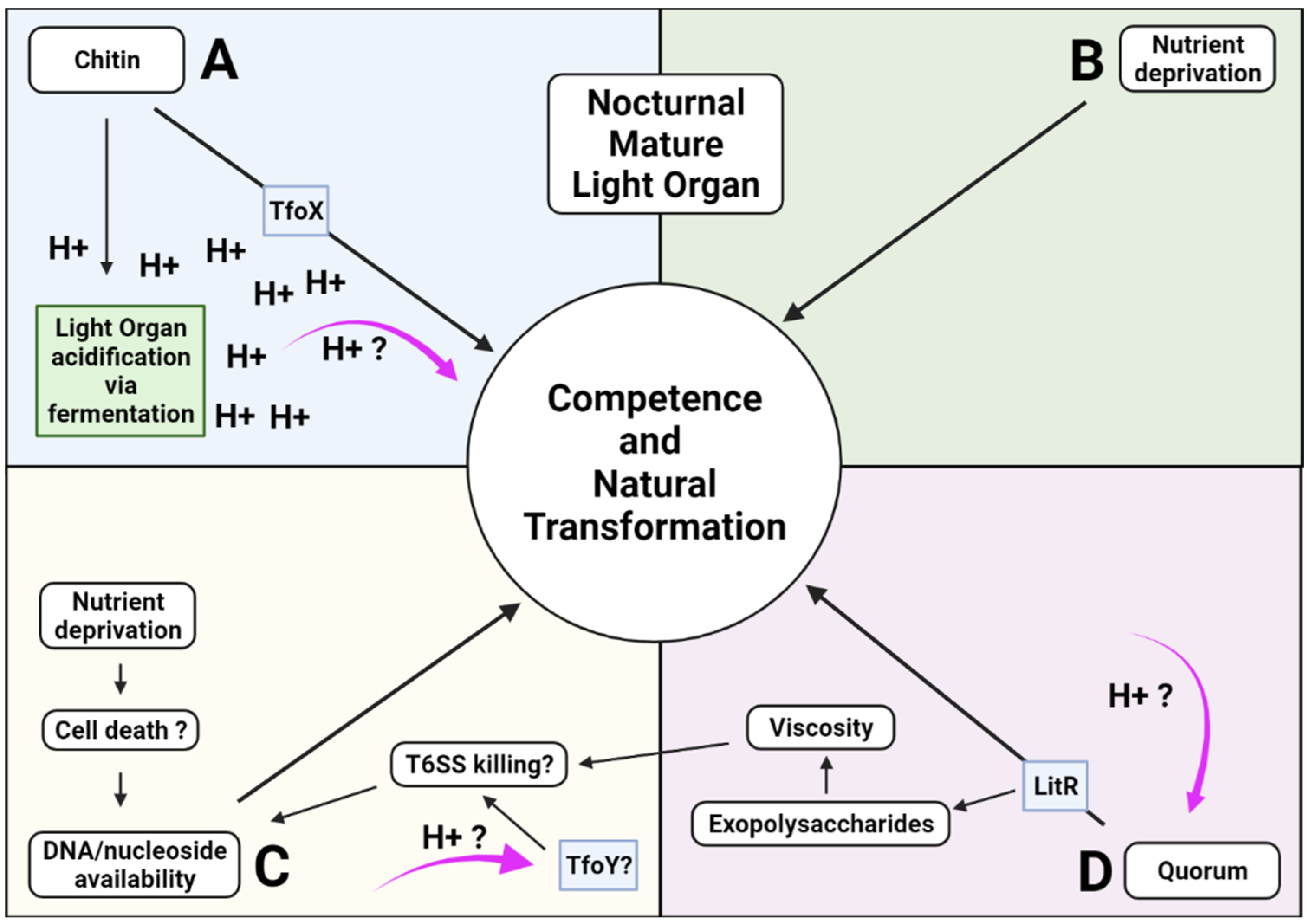 Ijms 23 03743 g002 Ijms 23 03743 g002