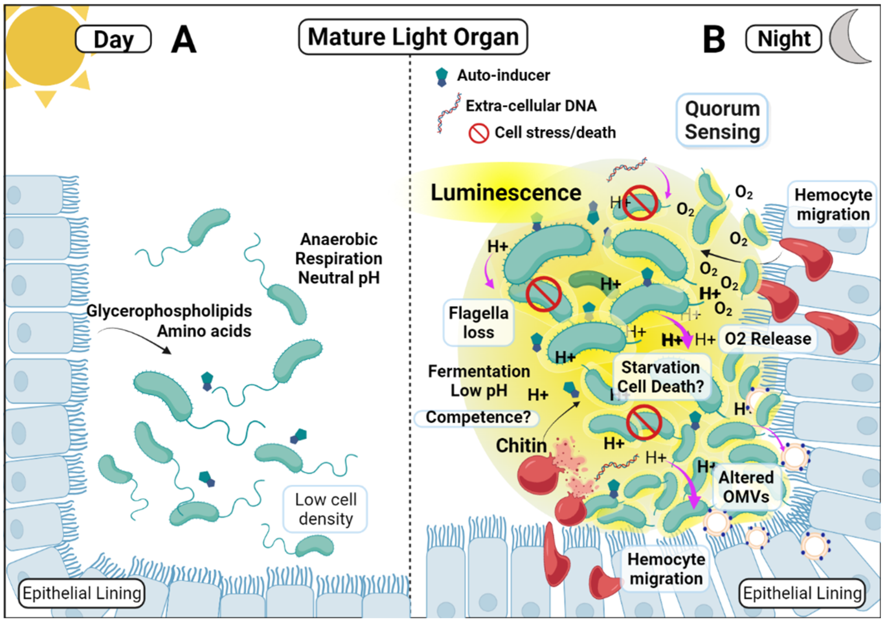 Ijms 23 03743 g003 Ijms 23 03743 g003