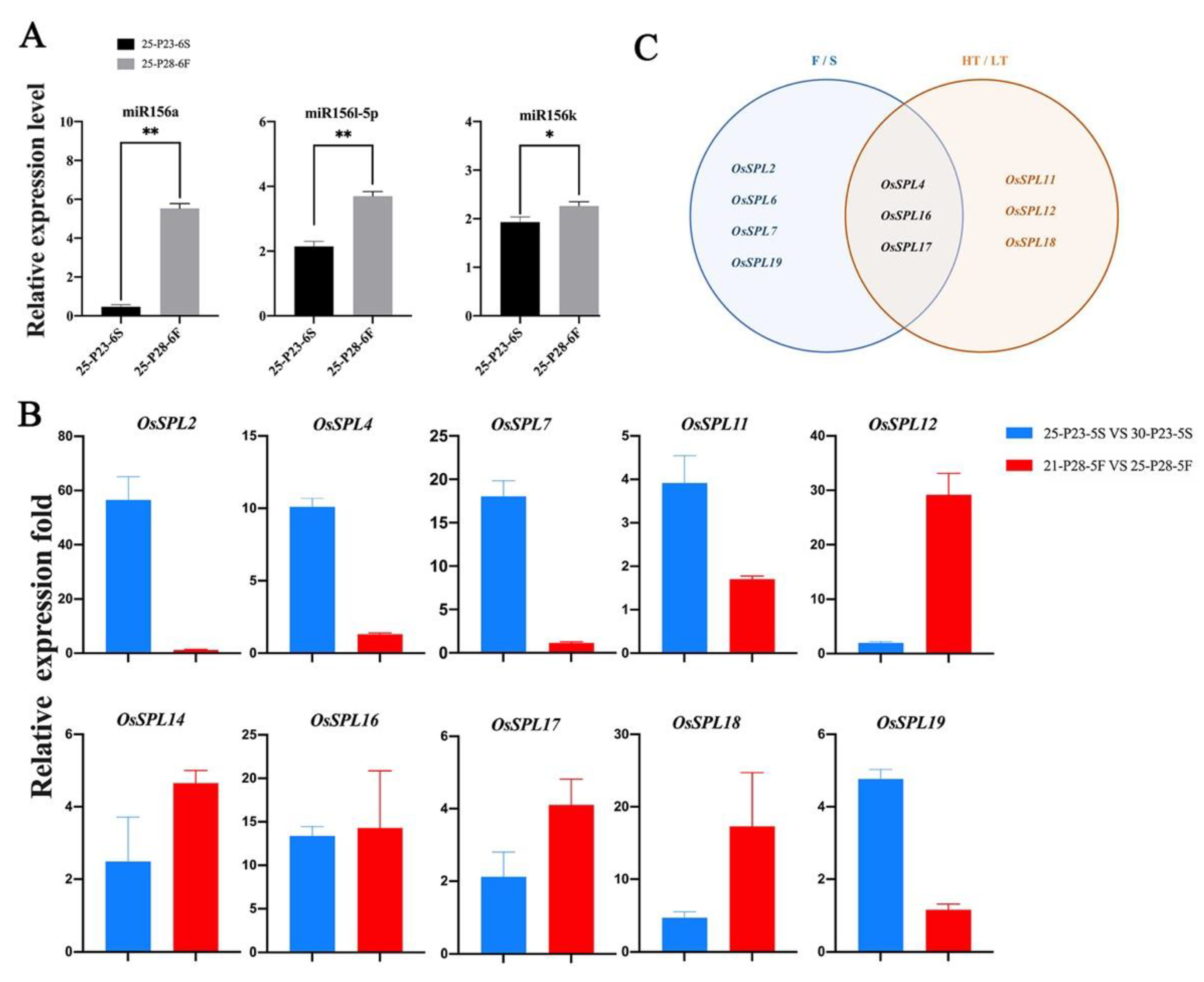 Ijms 23 03744 g004 550