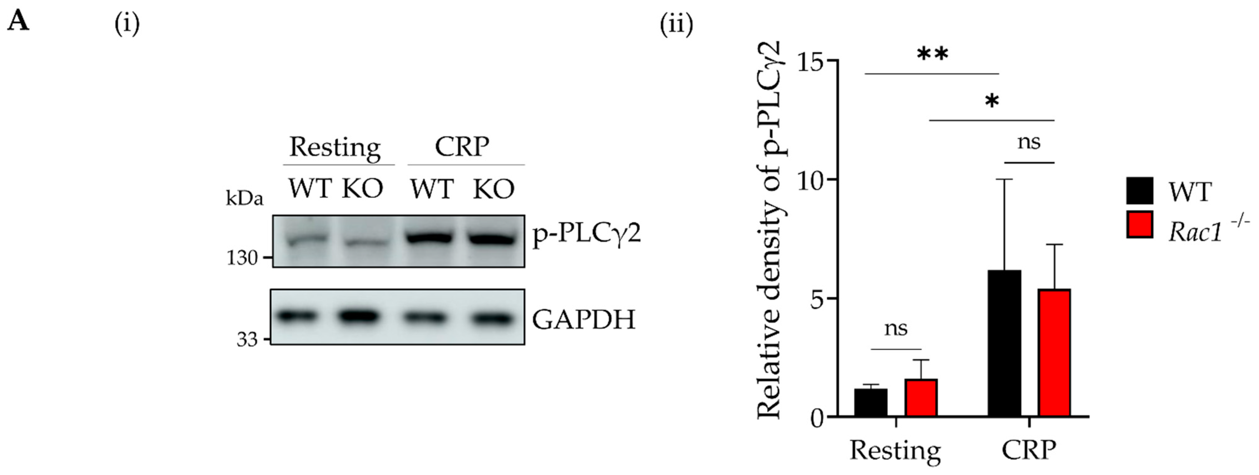 Ijms 23 03746 g003a Ijms 23 03746 g003a