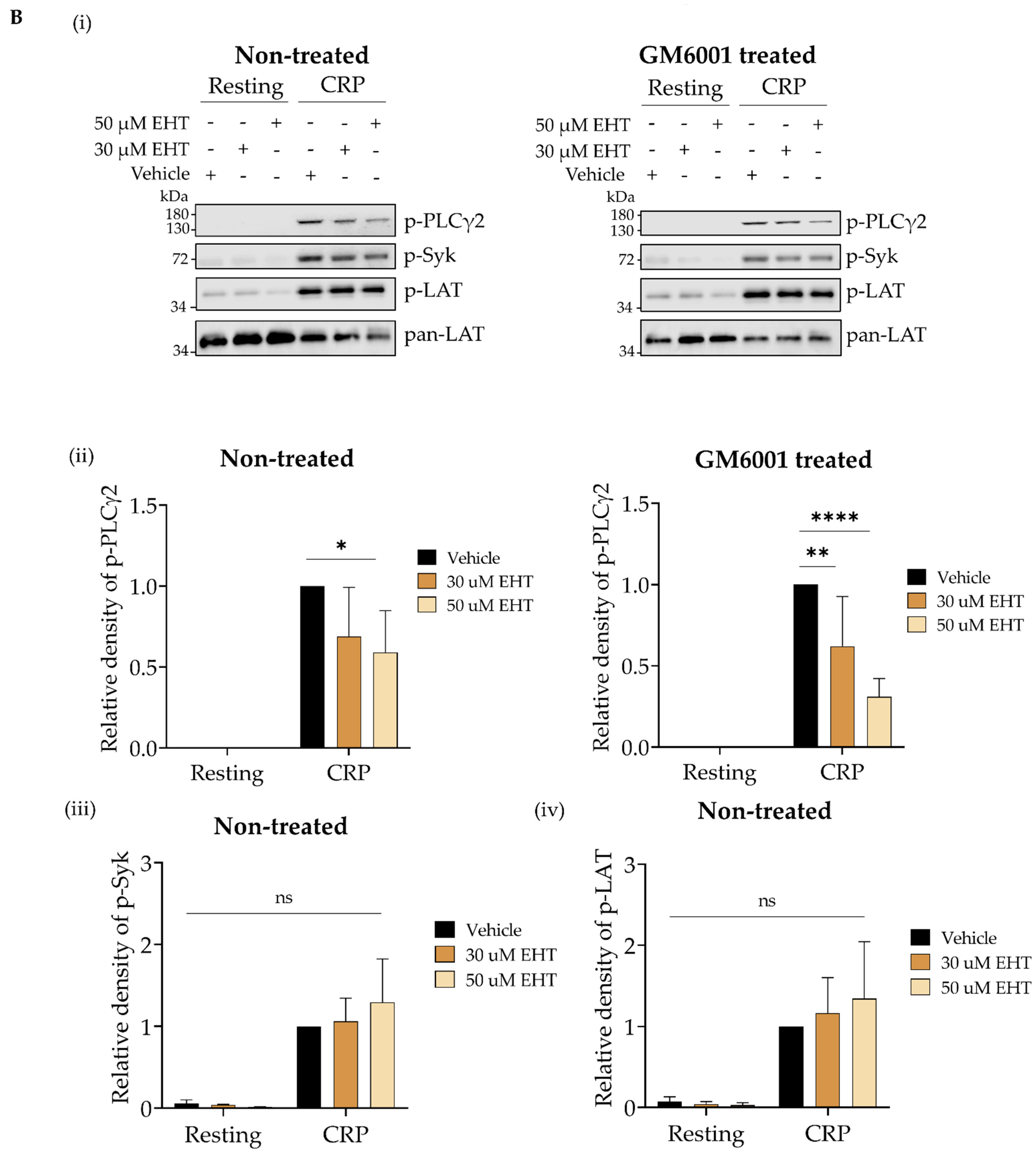 Ijms 23 03746 g003b Ijms 23 03746 g003b