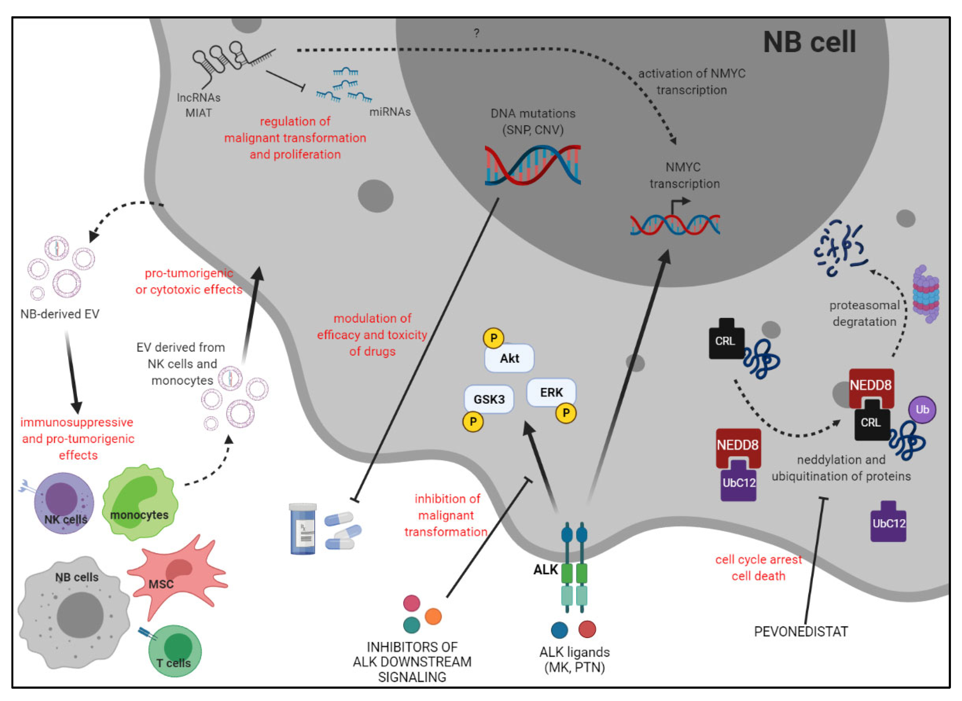 Ijms 23 03751 g001 550