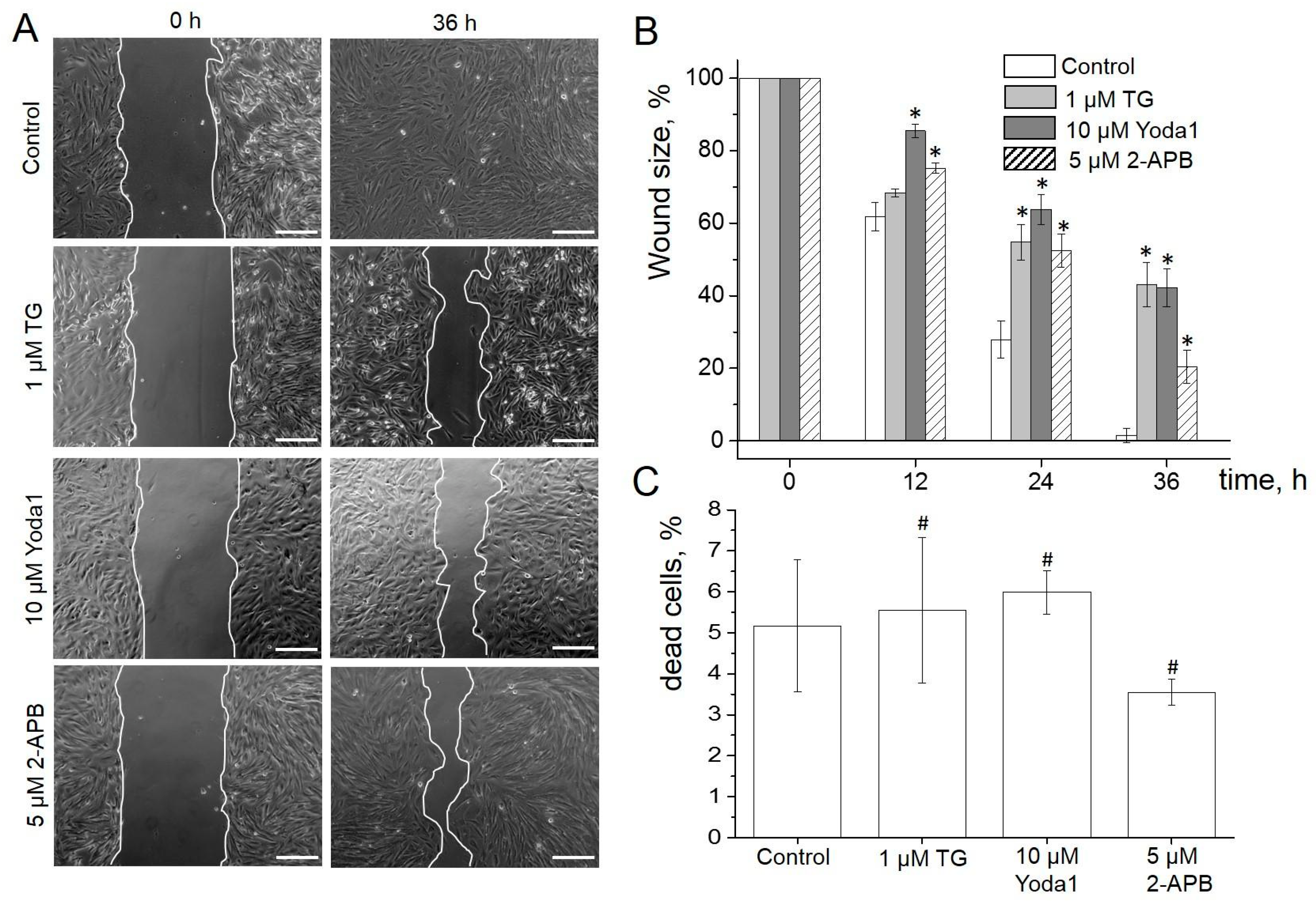 Ijms 23 03763 g005 Ijms 23 03763 g005